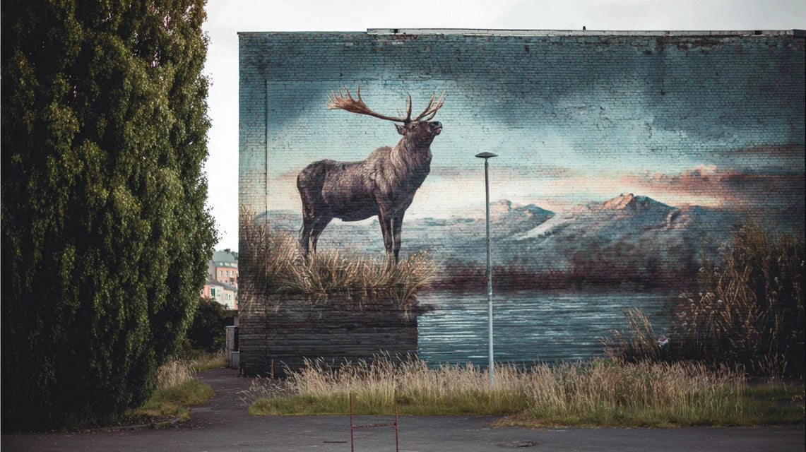 Comment les scandinaves utilisent l’art mural dans leur quotidien ?