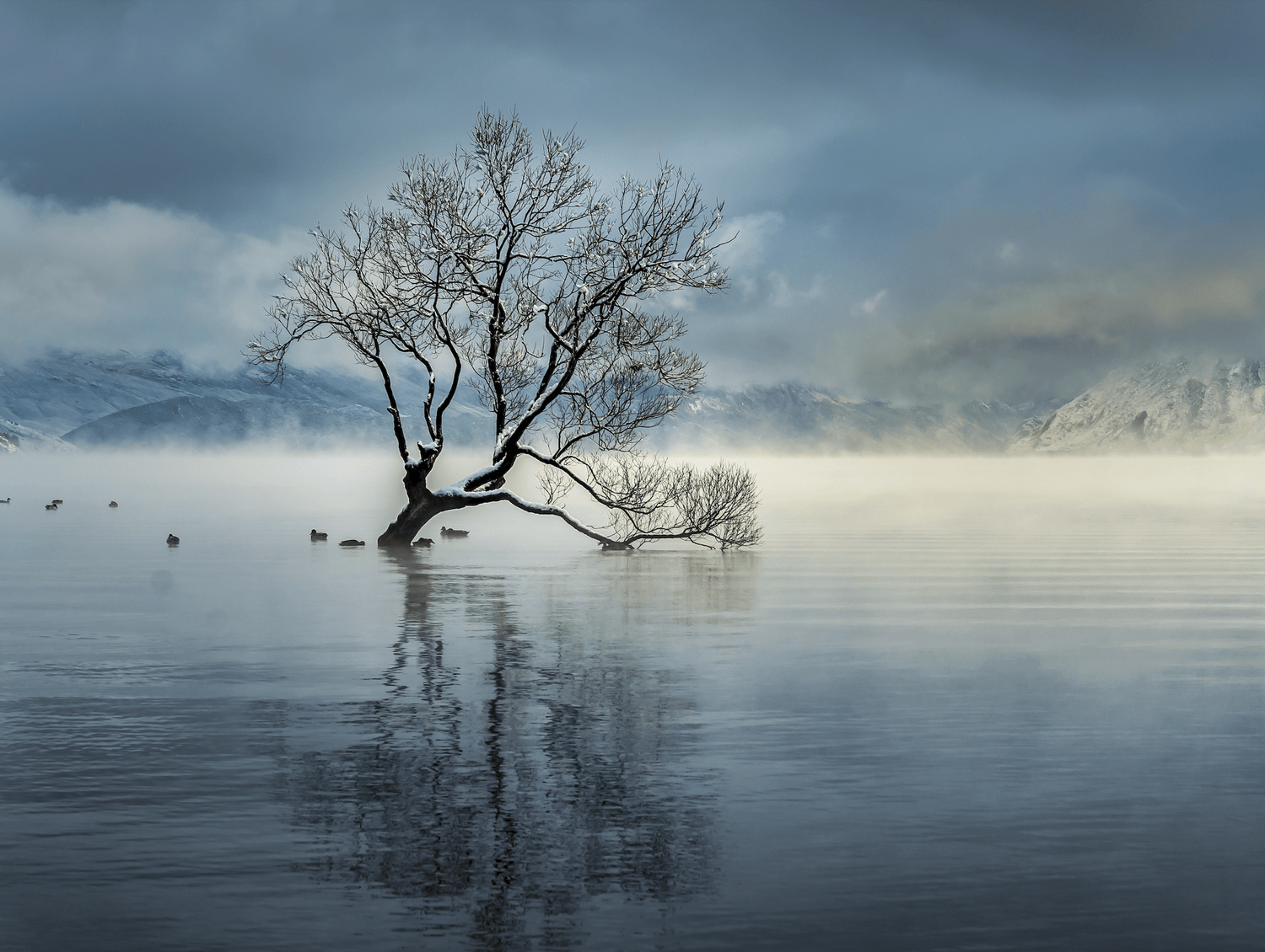 Les bienfaits d’un tableau paysage pour une ambiance apaisante dans votre intérieur