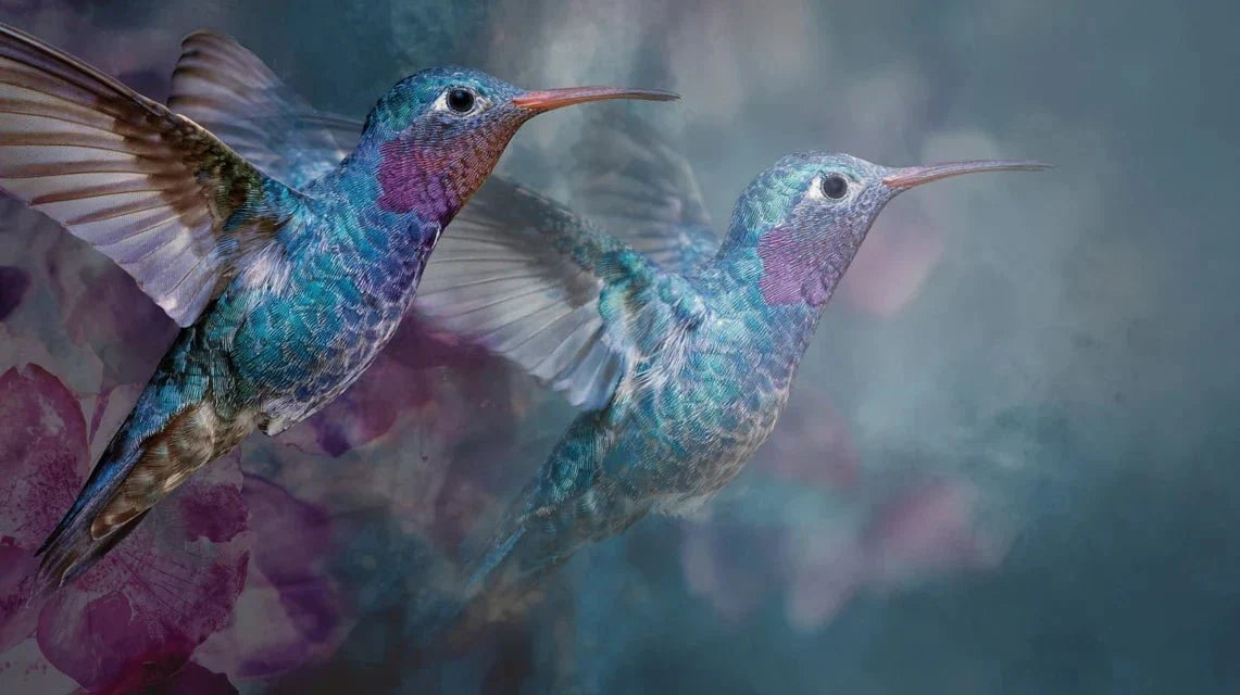 La technique pour capturer la rapidité des colibris