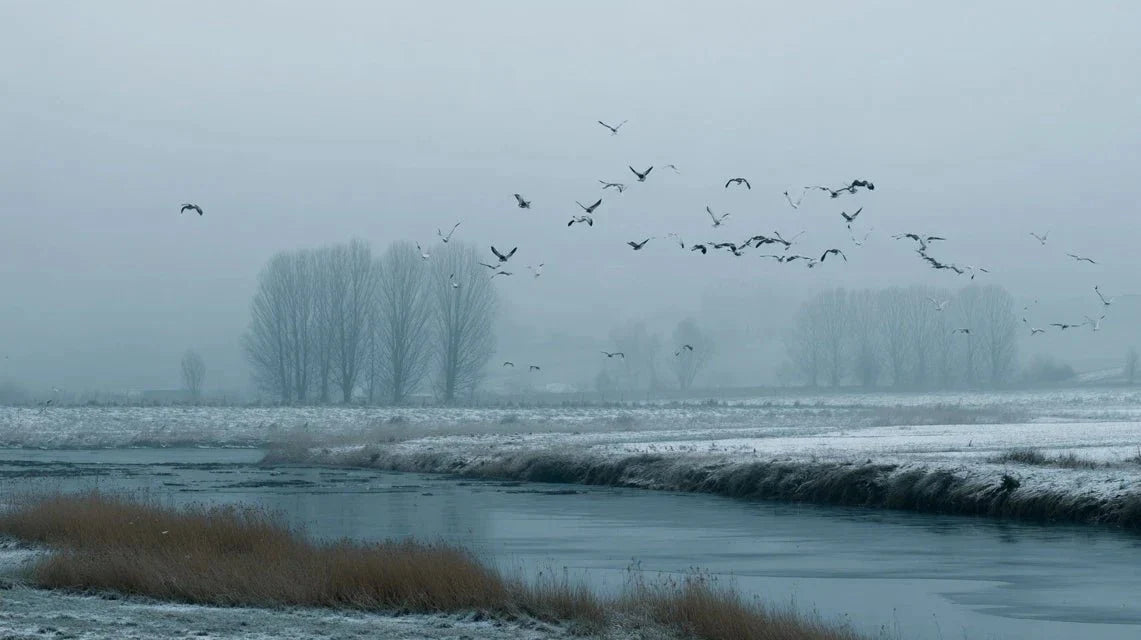 L'influence de l'ornithologie sur les paysages d'oiseaux migrateurs