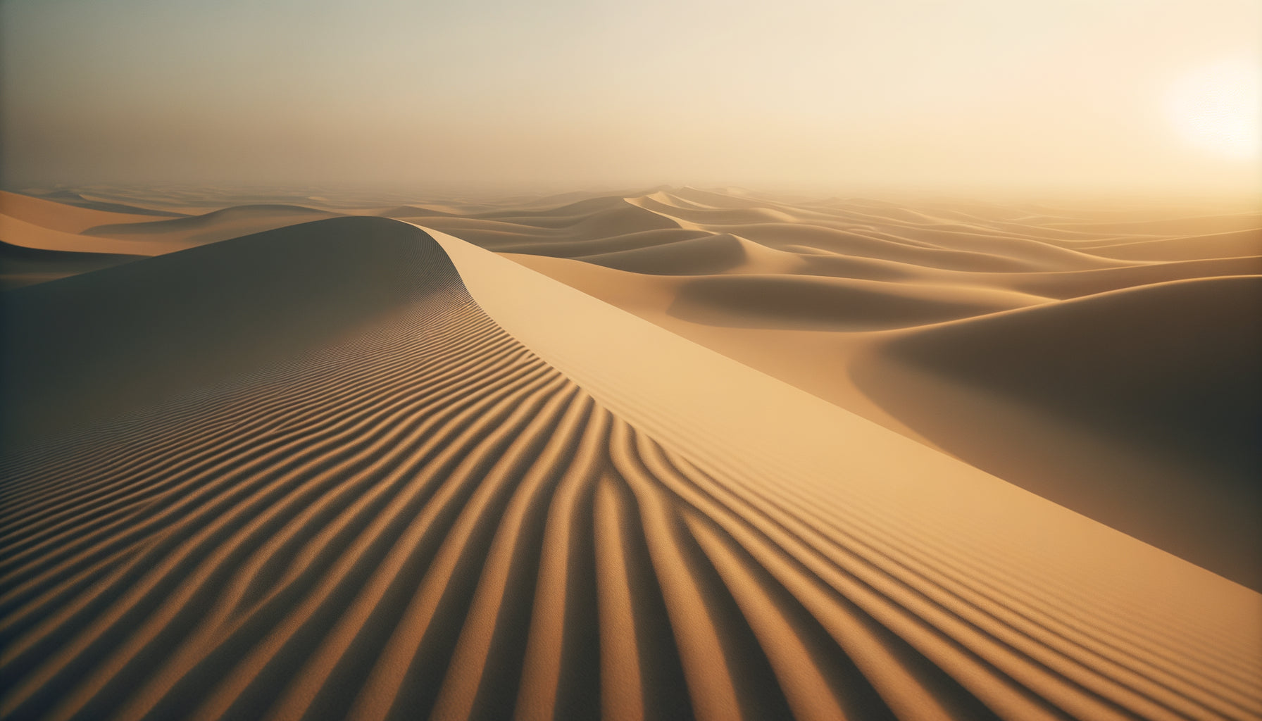 Photographie minimaliste de dunes désertiques dorées créant un espace de vacuité méditative et contemplative