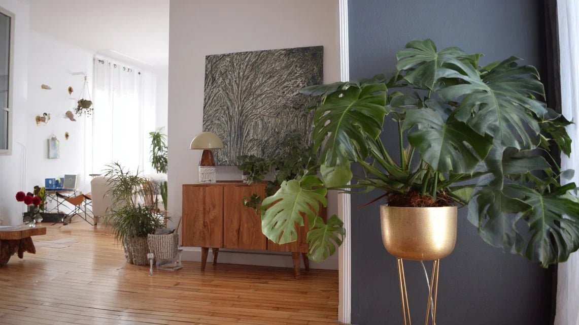 Suspendre un tableau sans visser : cimaise et rails expliqués