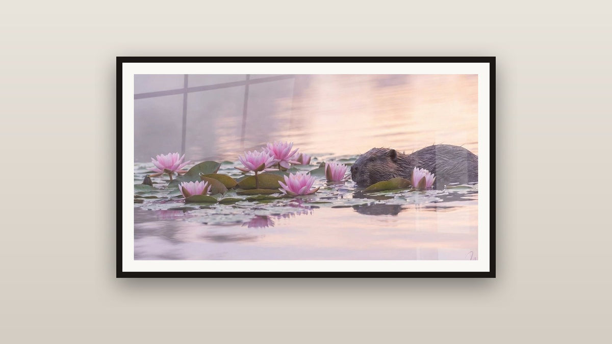 Framed painting on a wall