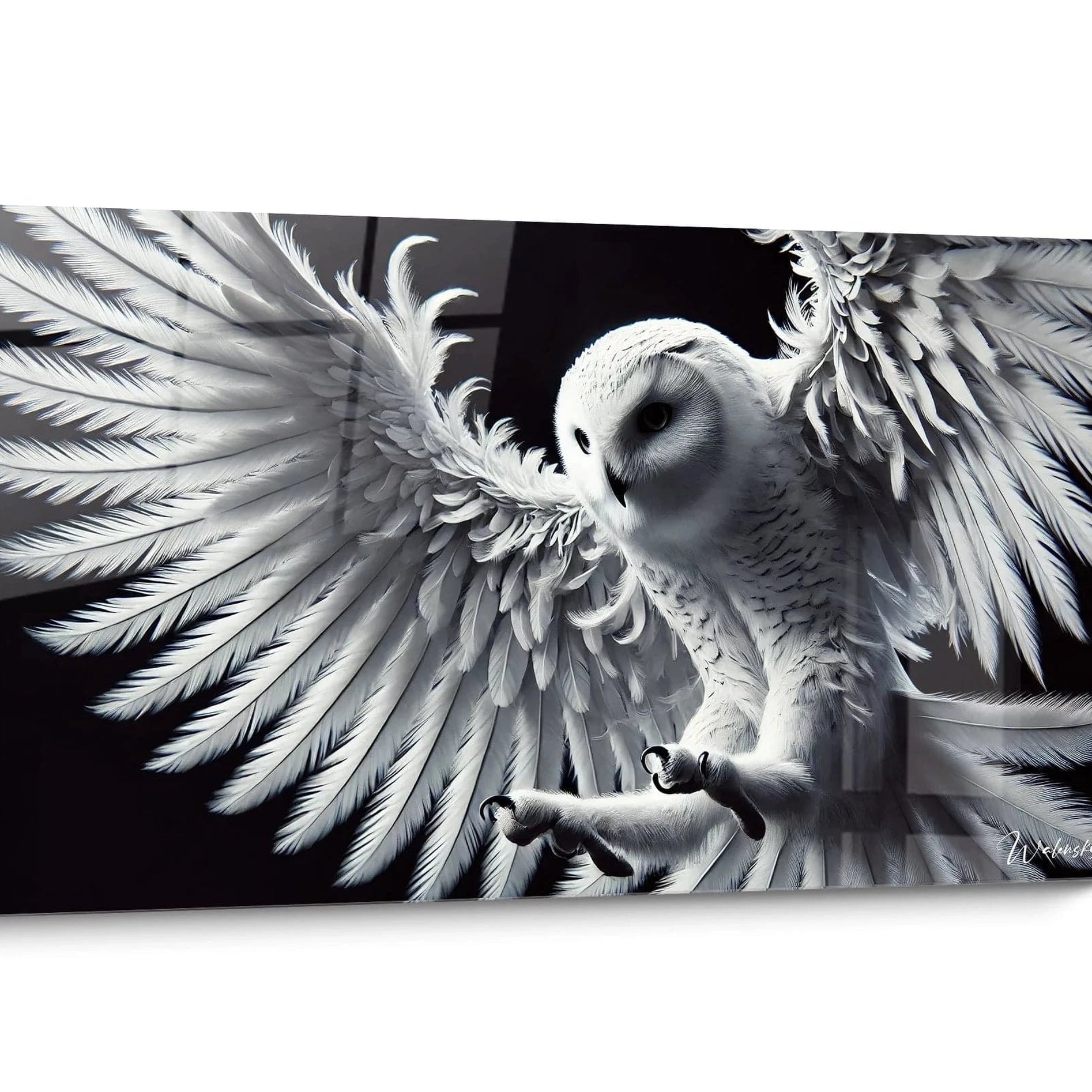 Tableau sur verre Glassart Chouette ∅45cm - Mr.Bricolage