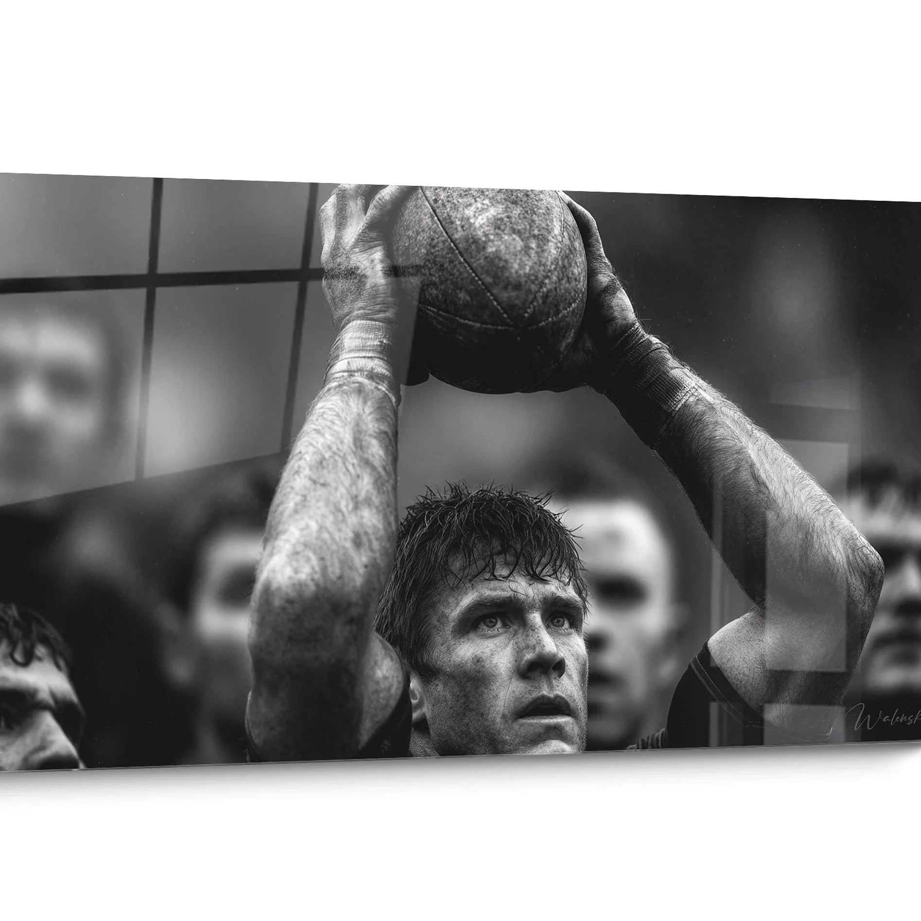 Tableau Rugby