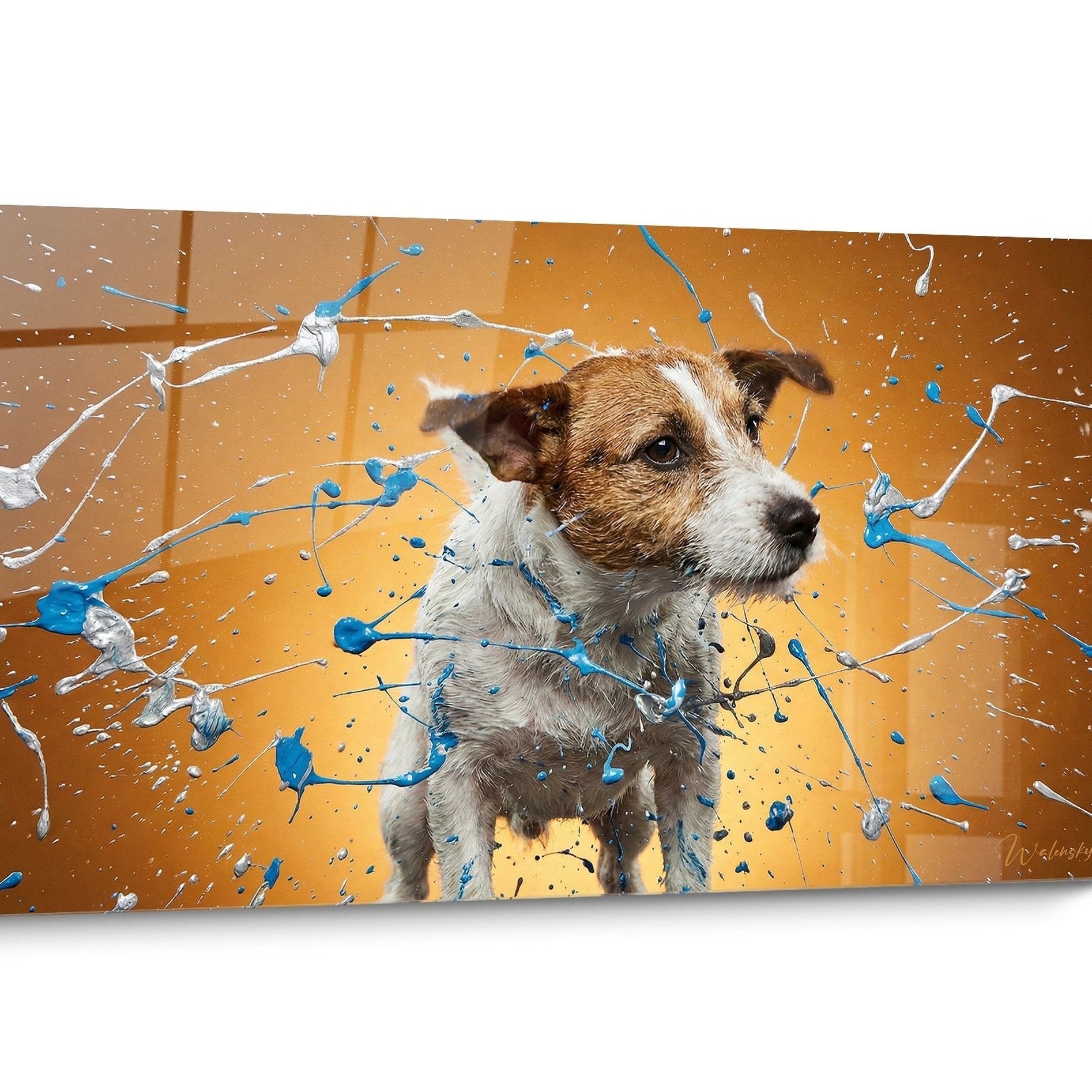 Tableau chien Jack Russel Terrier Pop Art