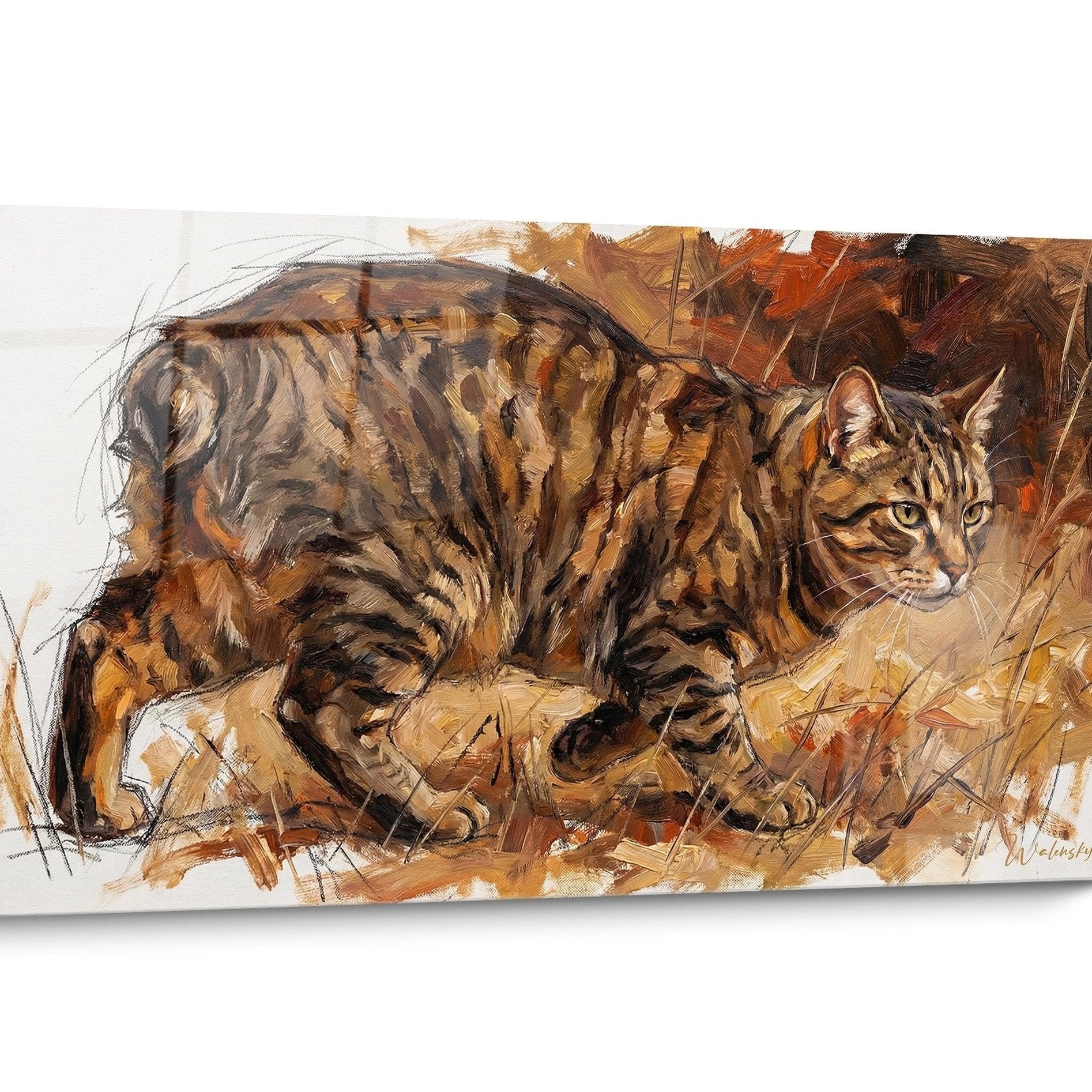 Tableau chat Manx