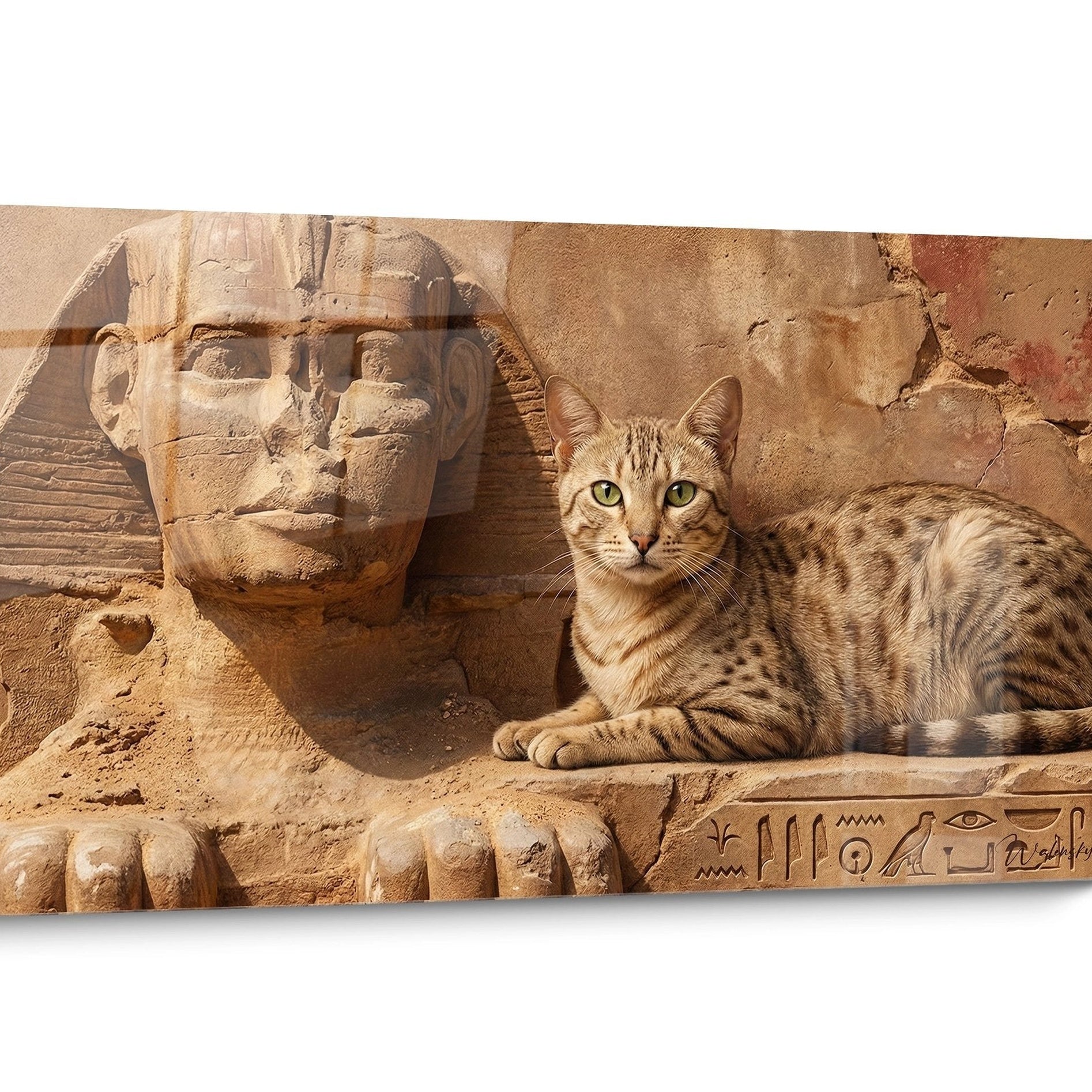Tableau chat Egyptian Mau Doré