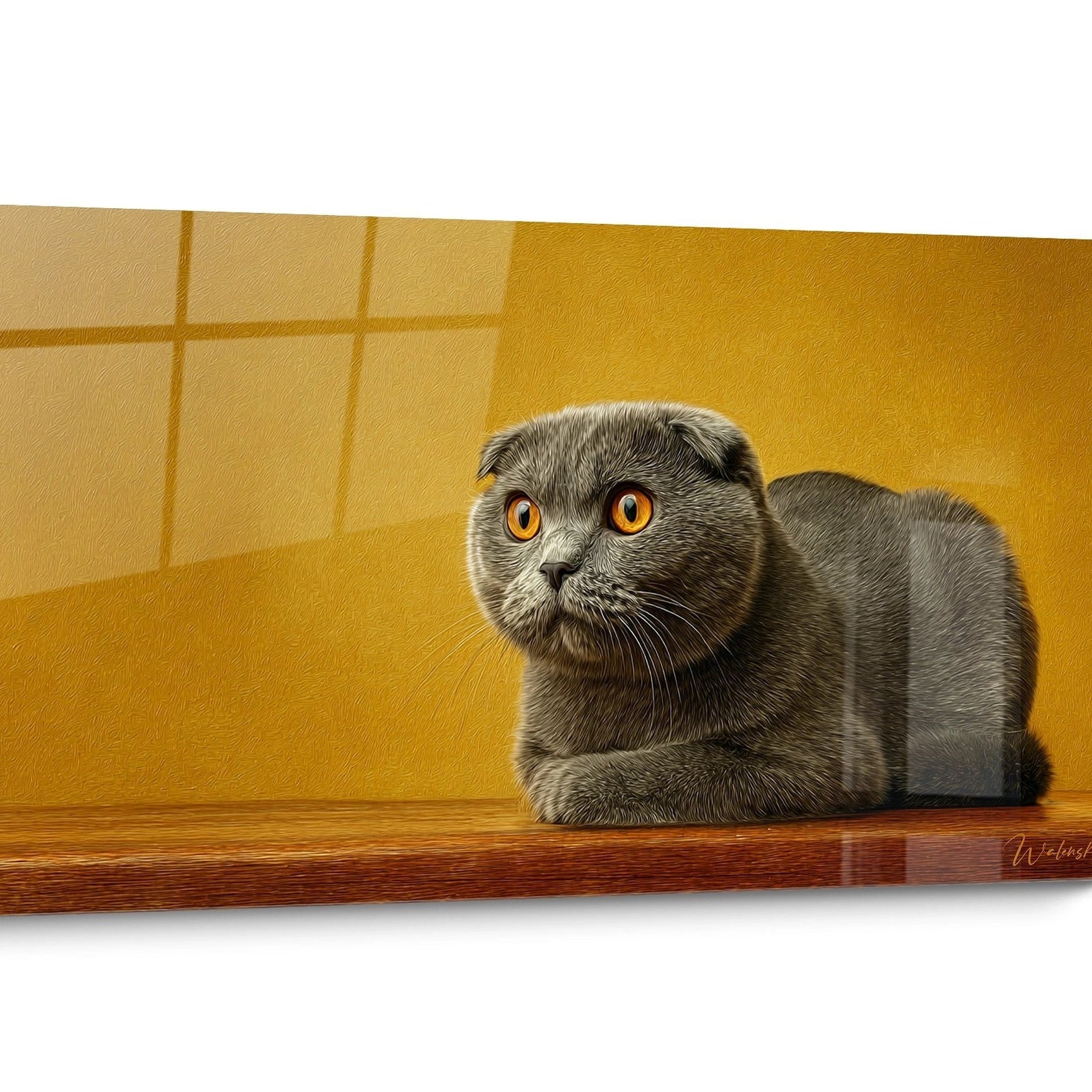 Tableau chat Scottish Fold Réaliste