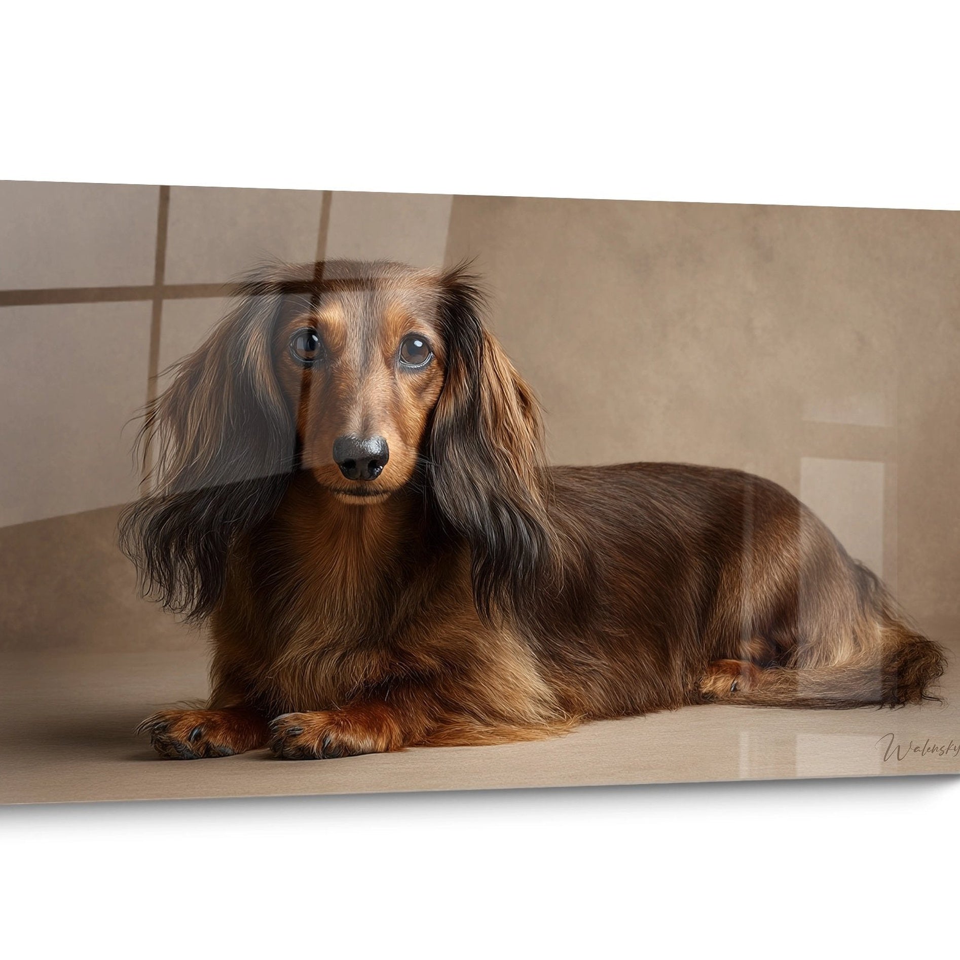 Tableau chien Teckel Réaliste