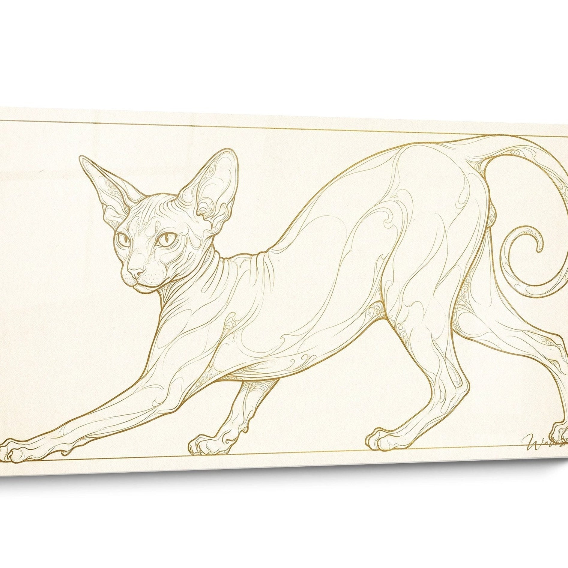 Tableau chat Peterbald Mouvement