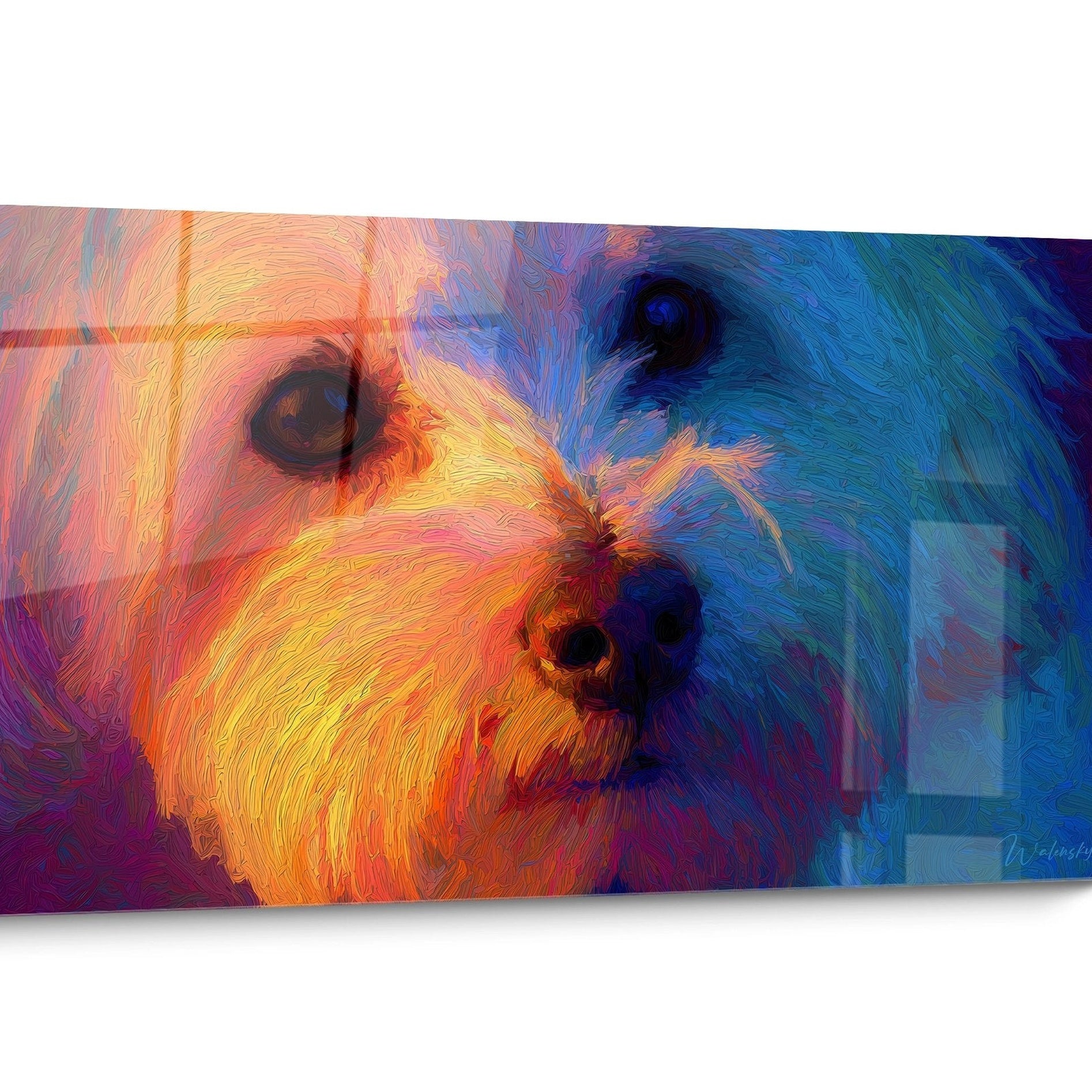 Tableau chien Bichon Havanais Moderne