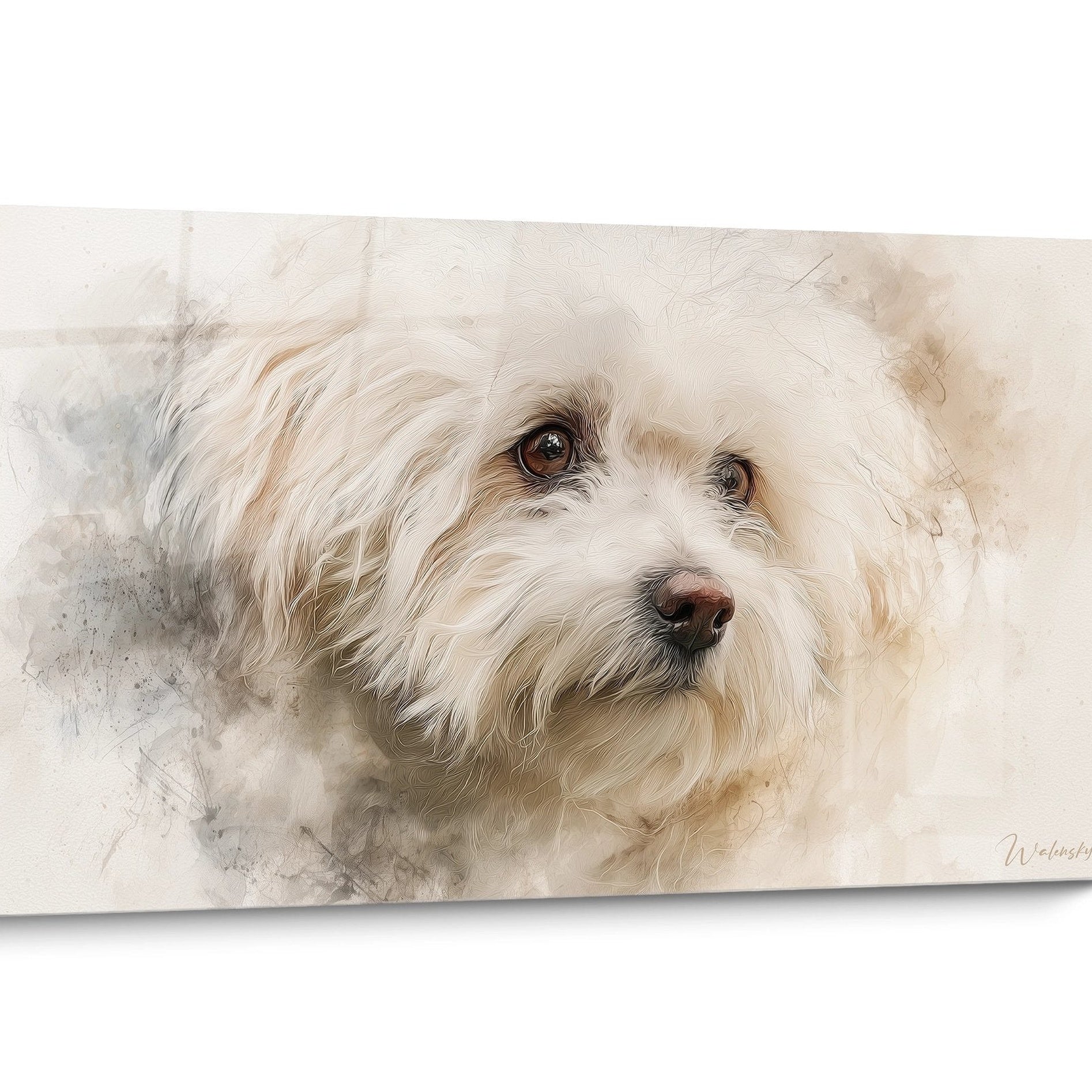 Tableau chien Bichon Frisé Aquarelle