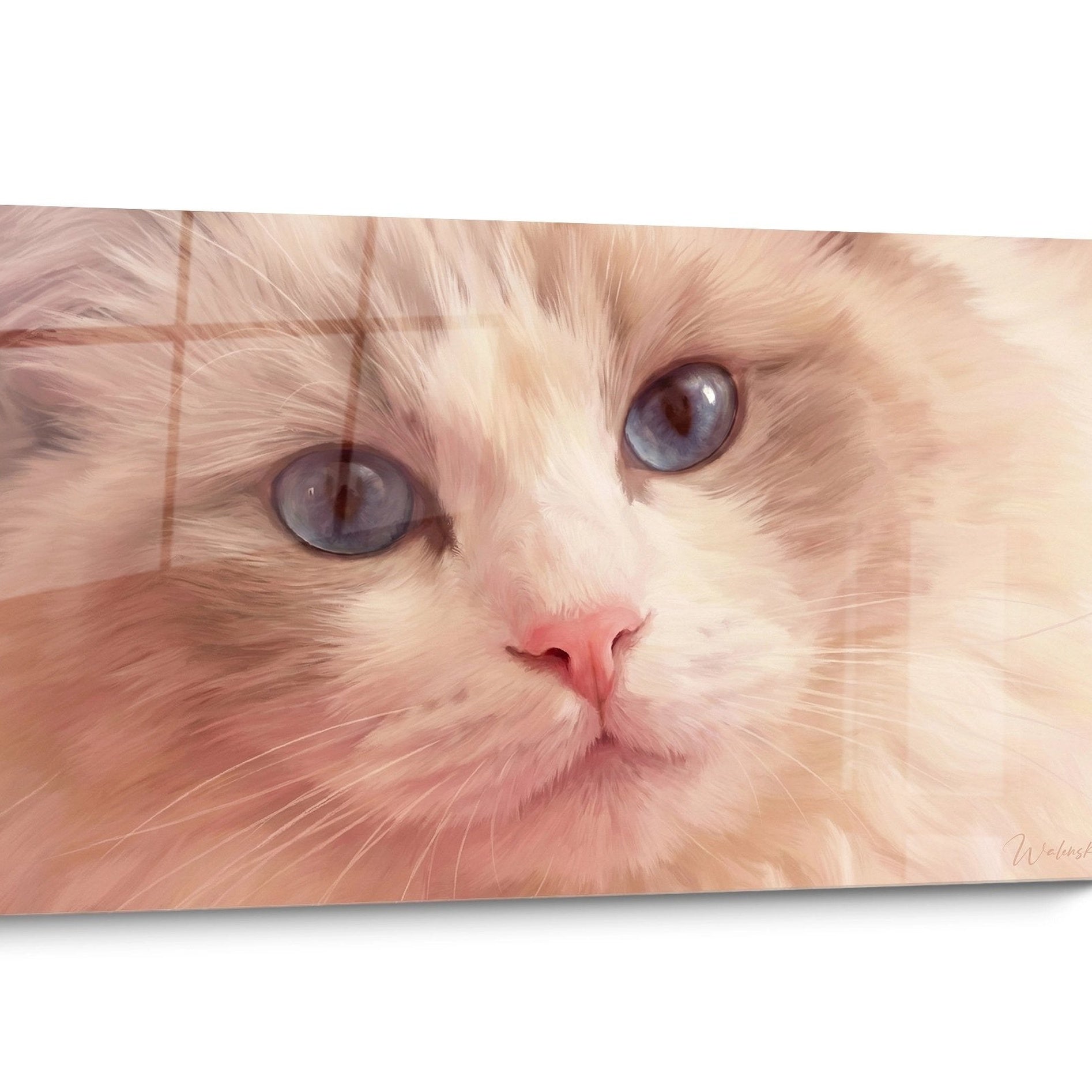 Tableau chat Ragdoll Yeux Bleus