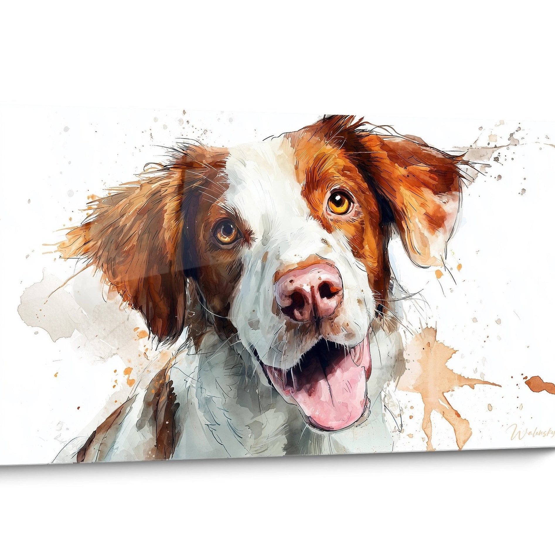 Tableau chien Epagneul Breton Aquarelle