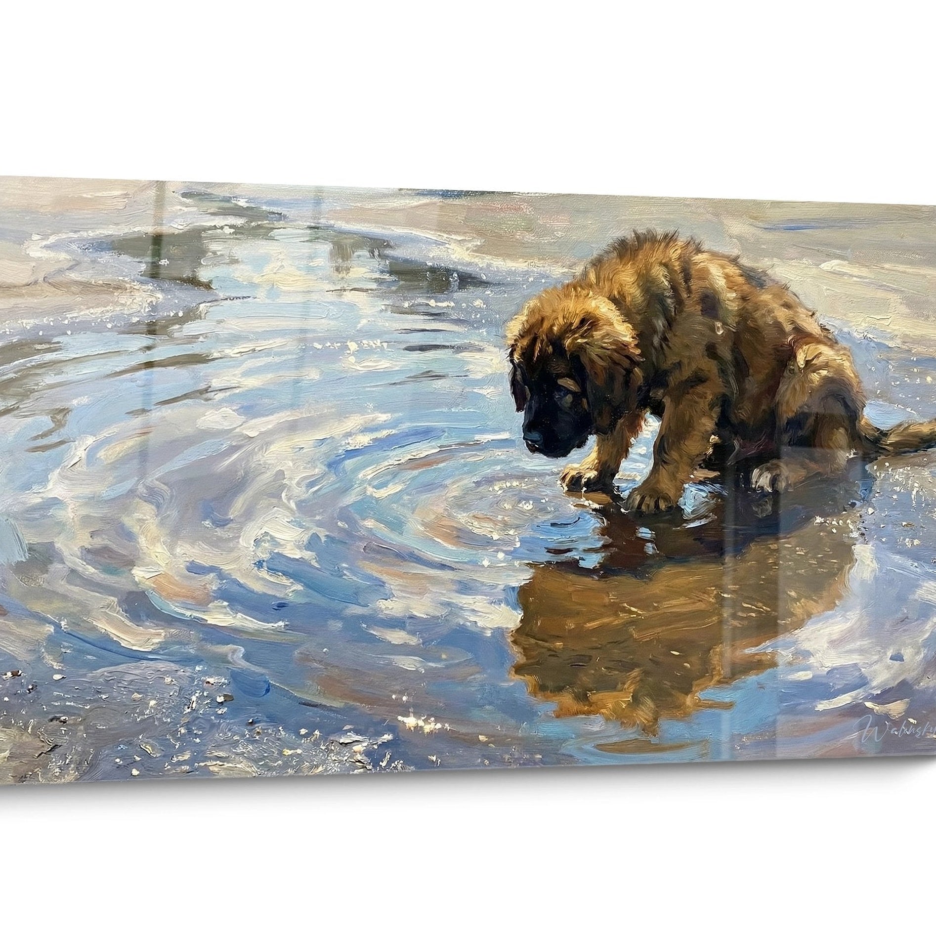 Tableau chien Terre Neuve Aquatique