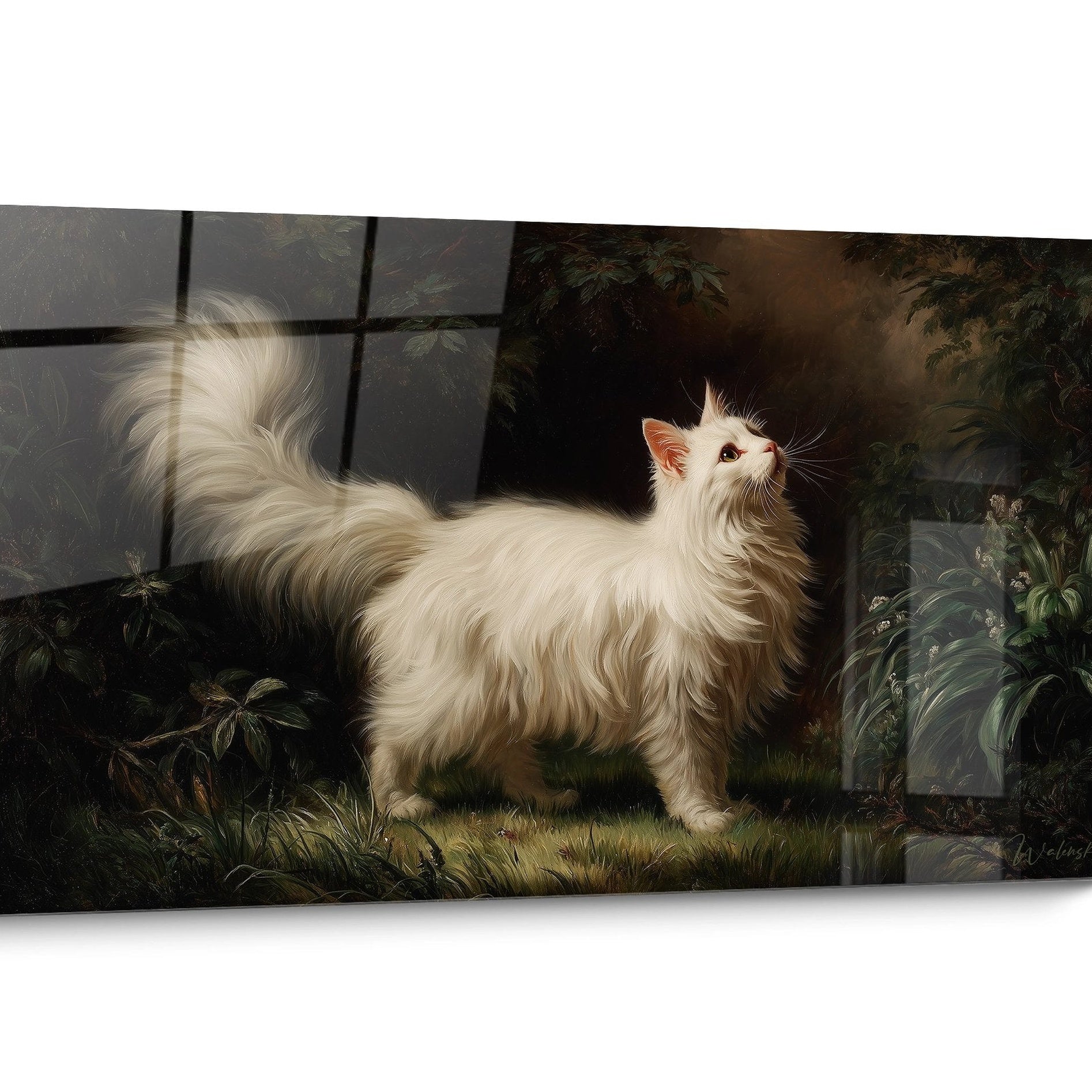 Tableau chat Turkish Angora