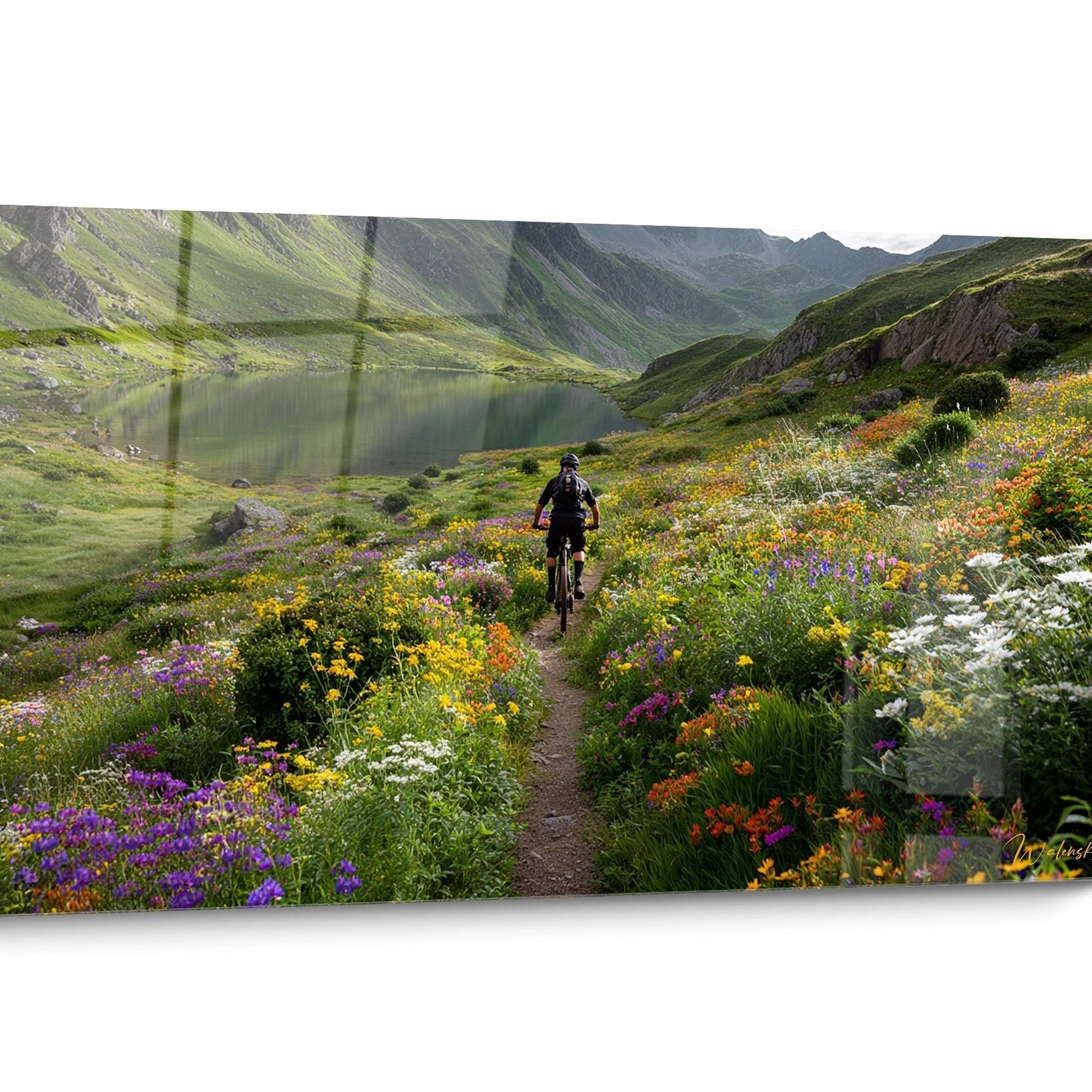 Tableau VTT Montagne Coloré