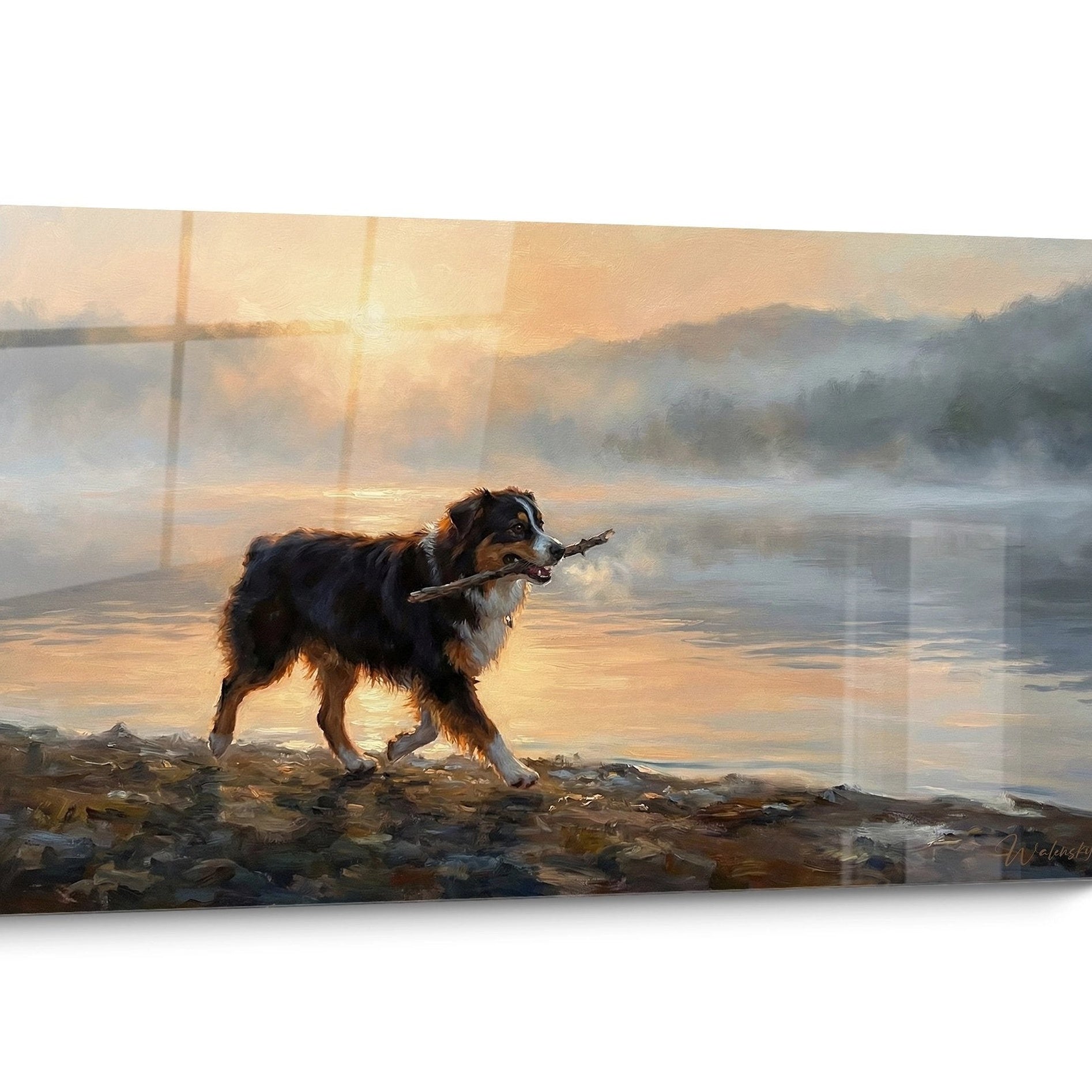 Tableau chien Berger Americain Miniature Coucher Soleil