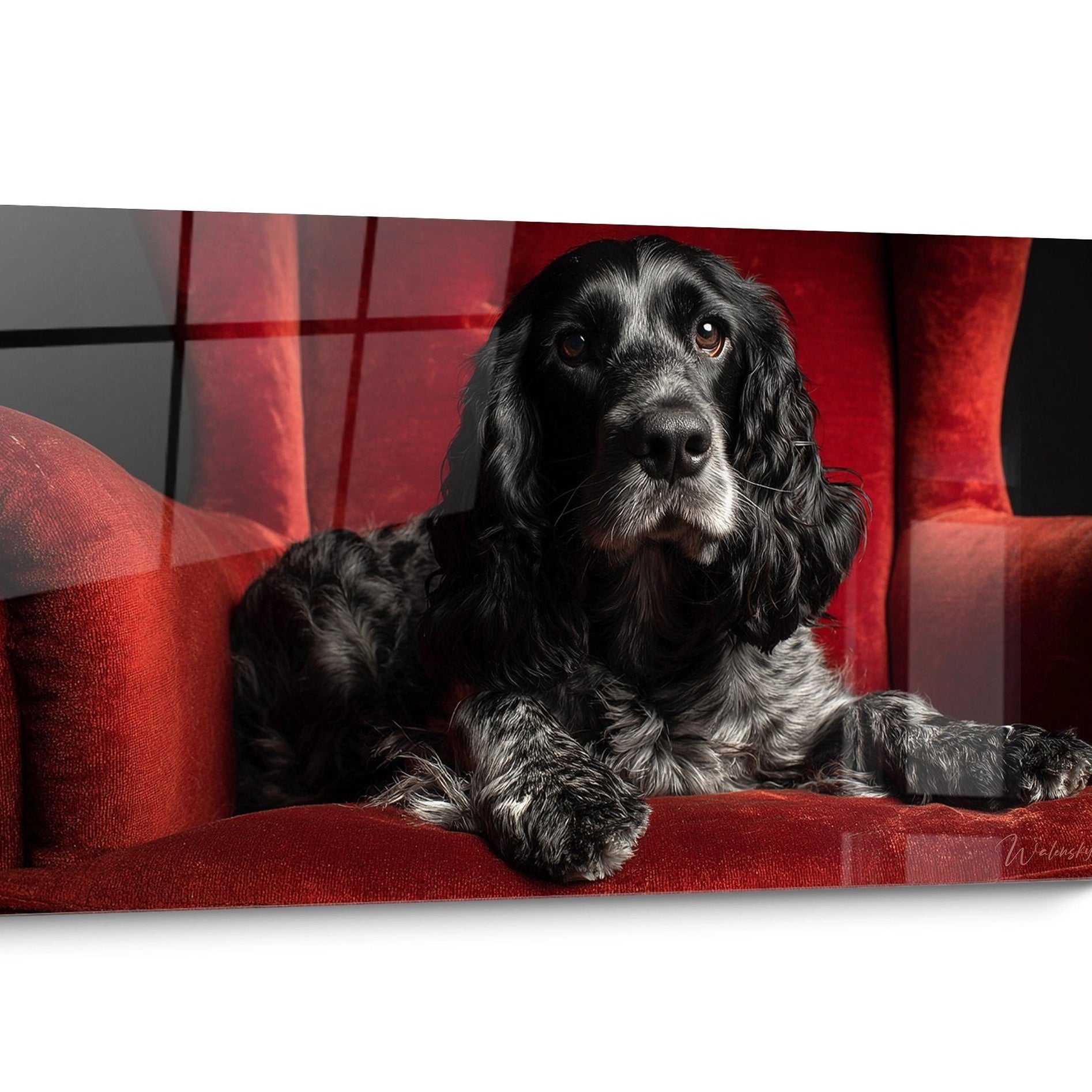 Tableau chien Cocker Americain Noir et Blanc