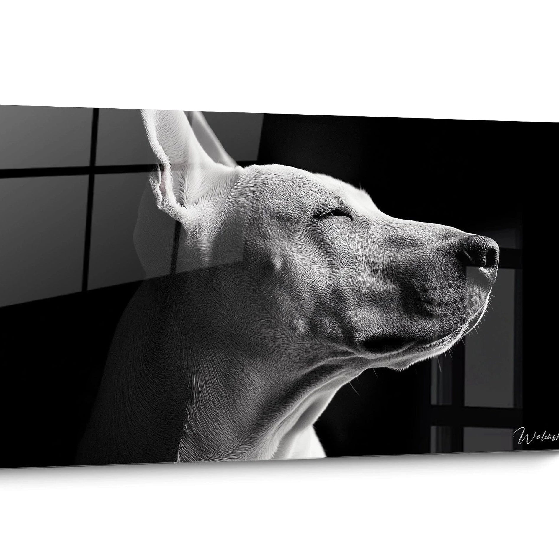Tableau pour cabinet Veterinaire Minimaliste