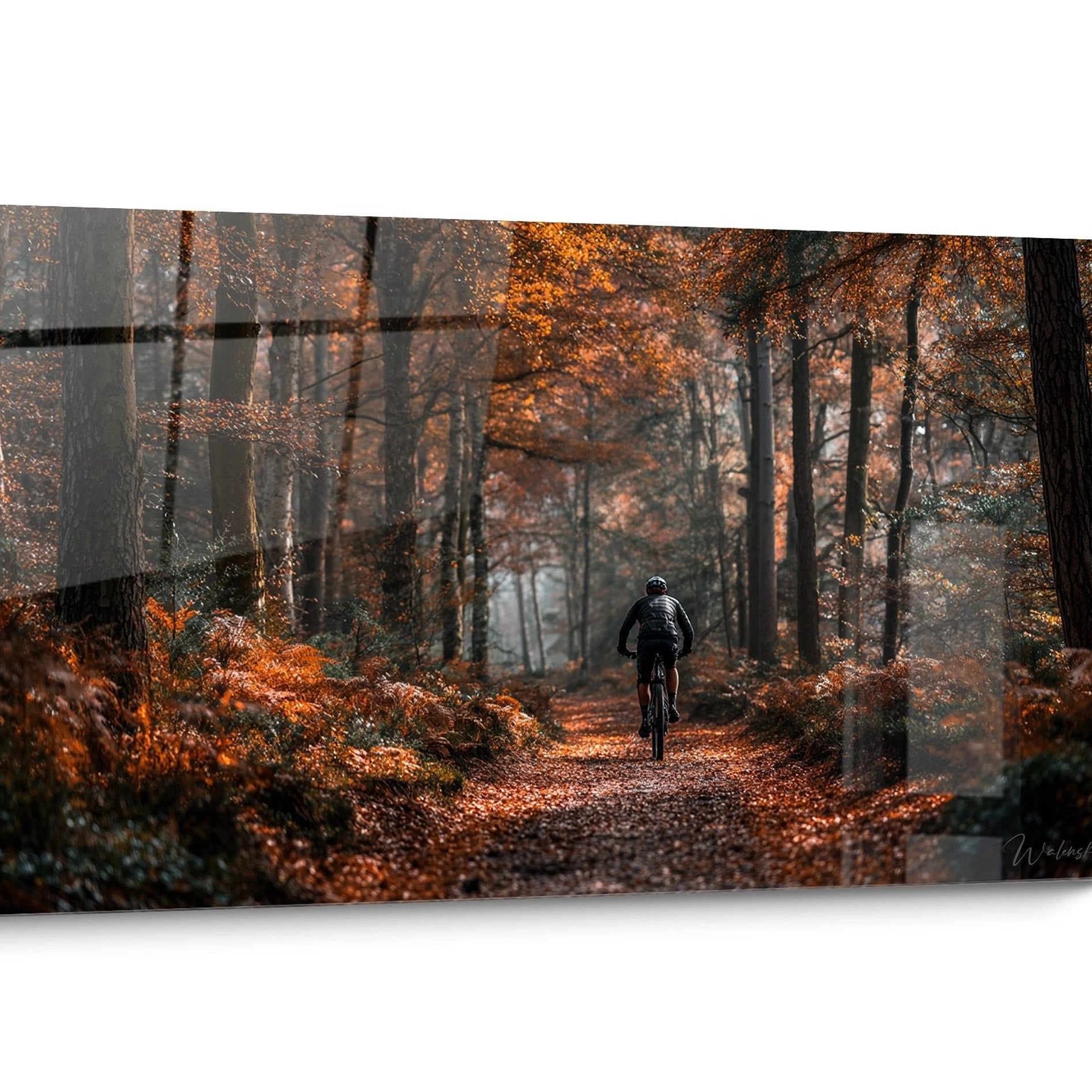 Tableau VTT Forêt