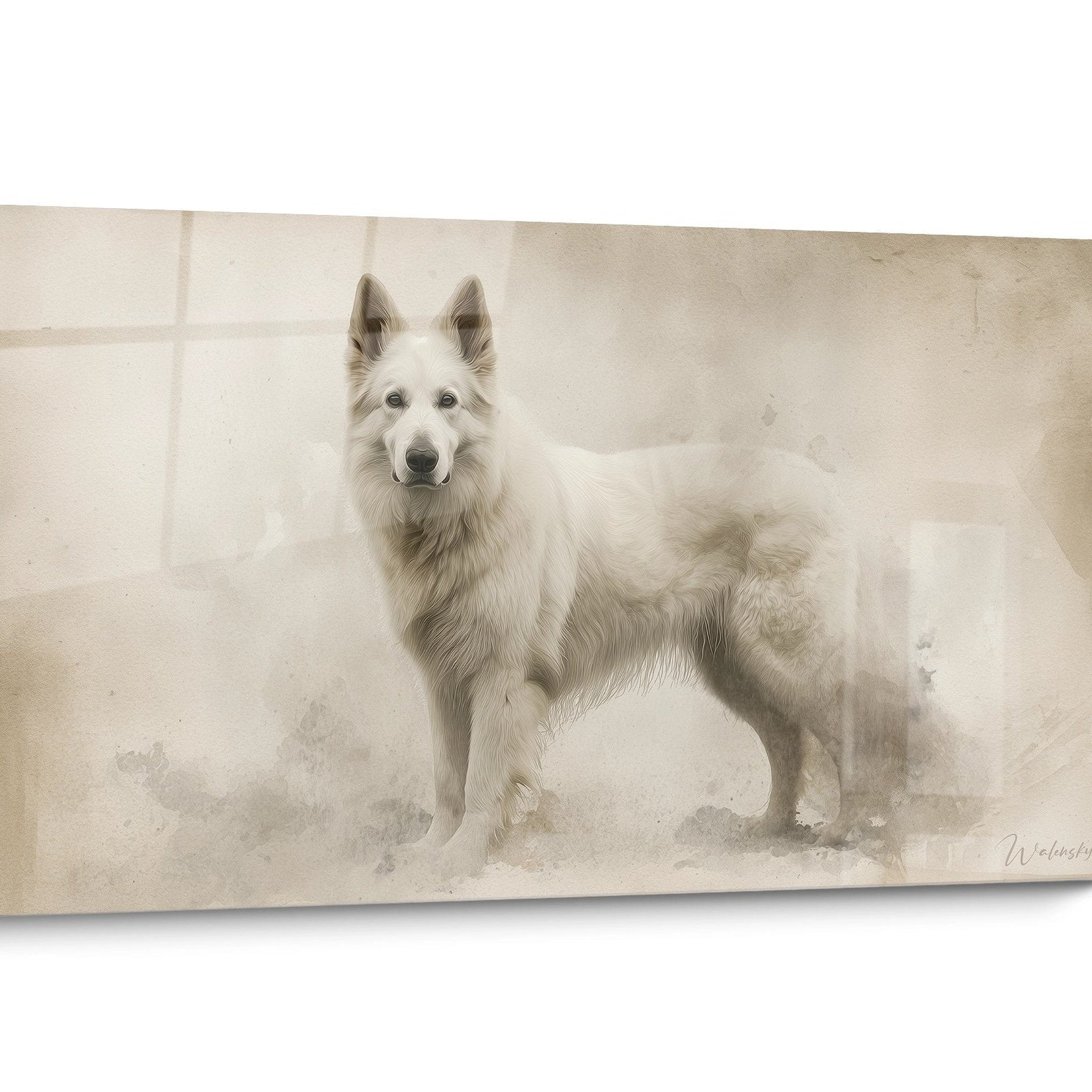 Tableau chien Berger Blanc Suisse Portrait