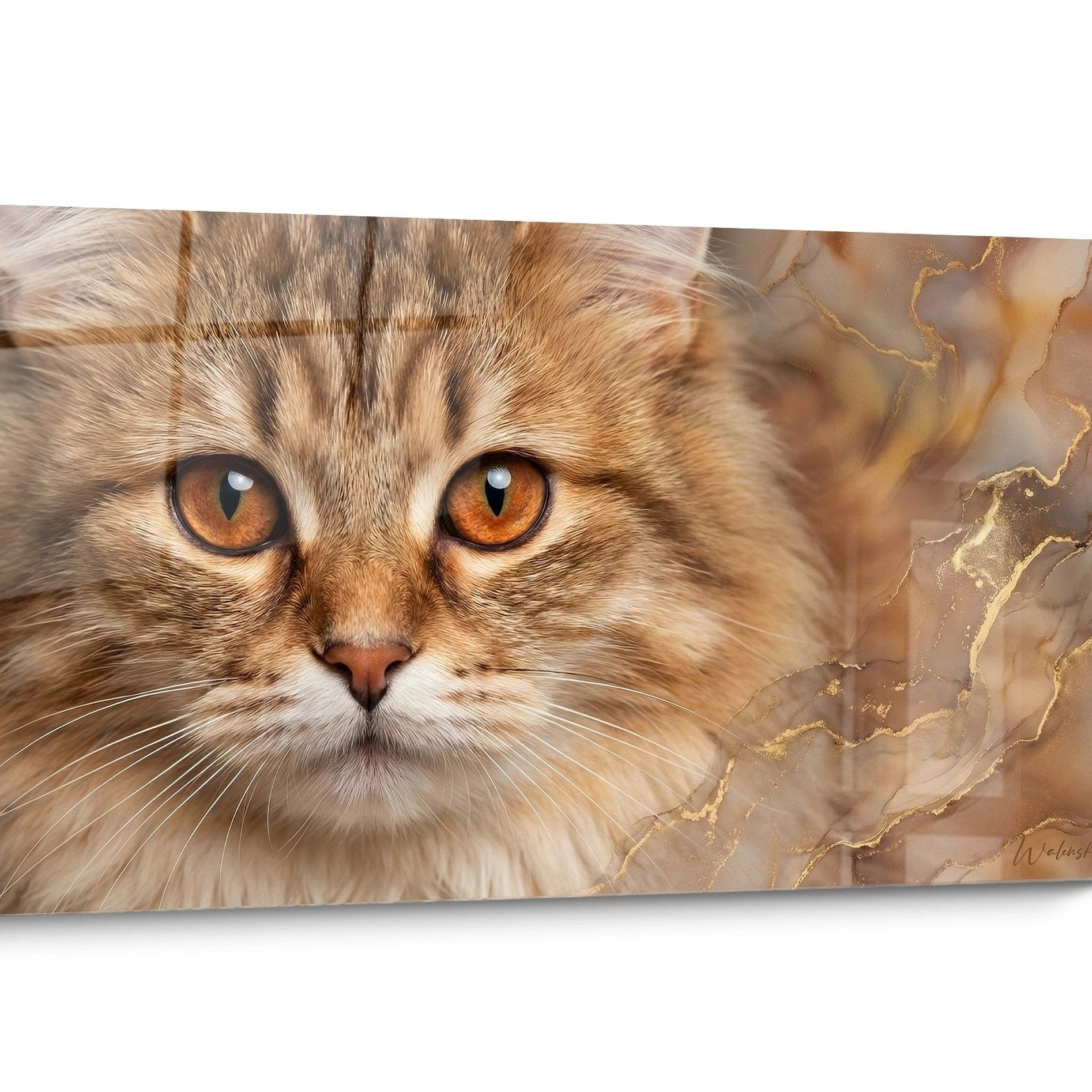 Tableau chat Ragamuffin Portrait