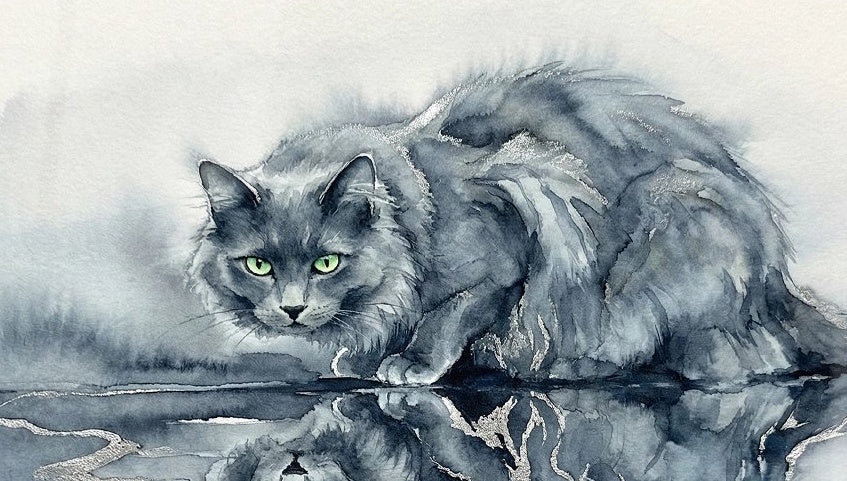 Tableau format panoramique Chat