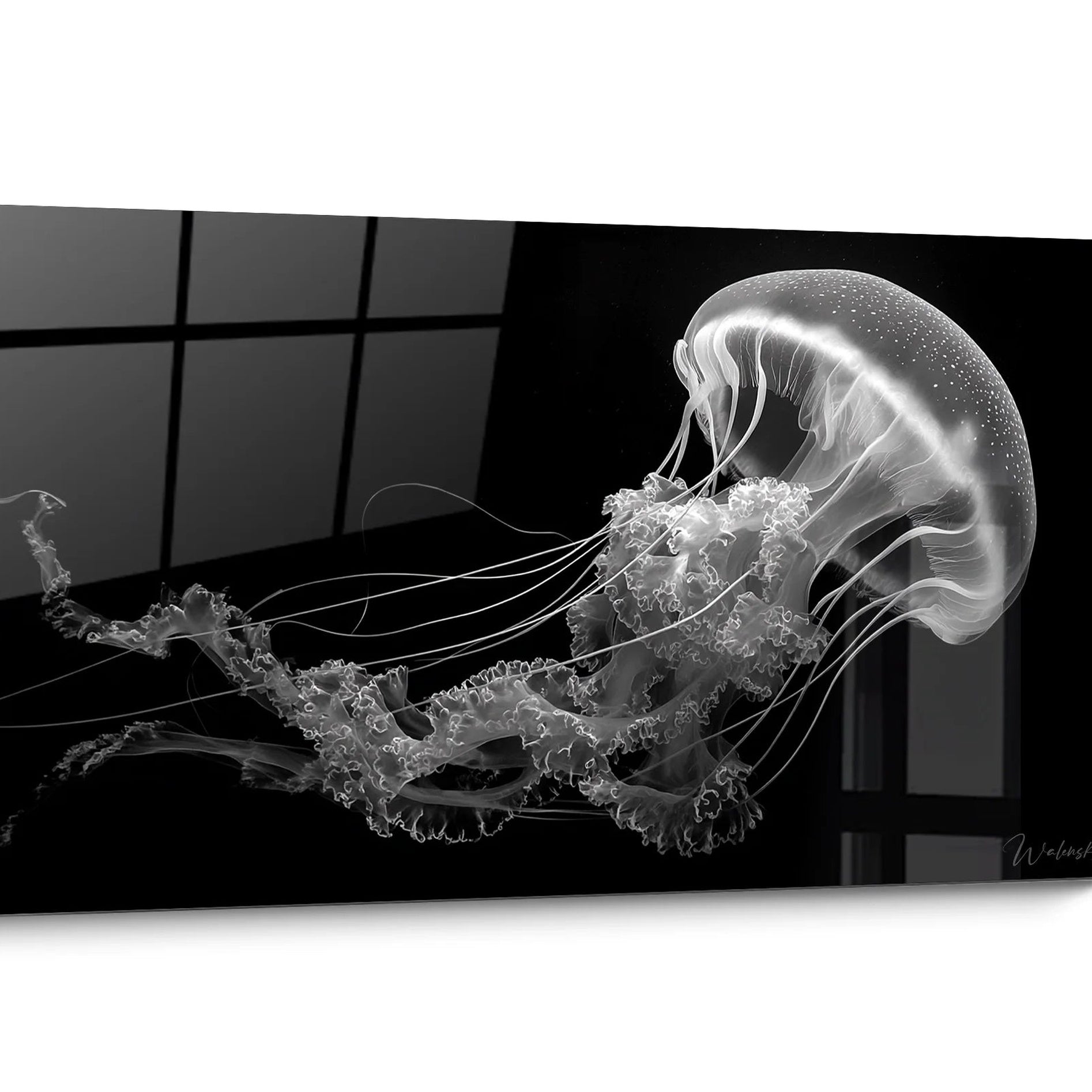 Tableaux Méduse