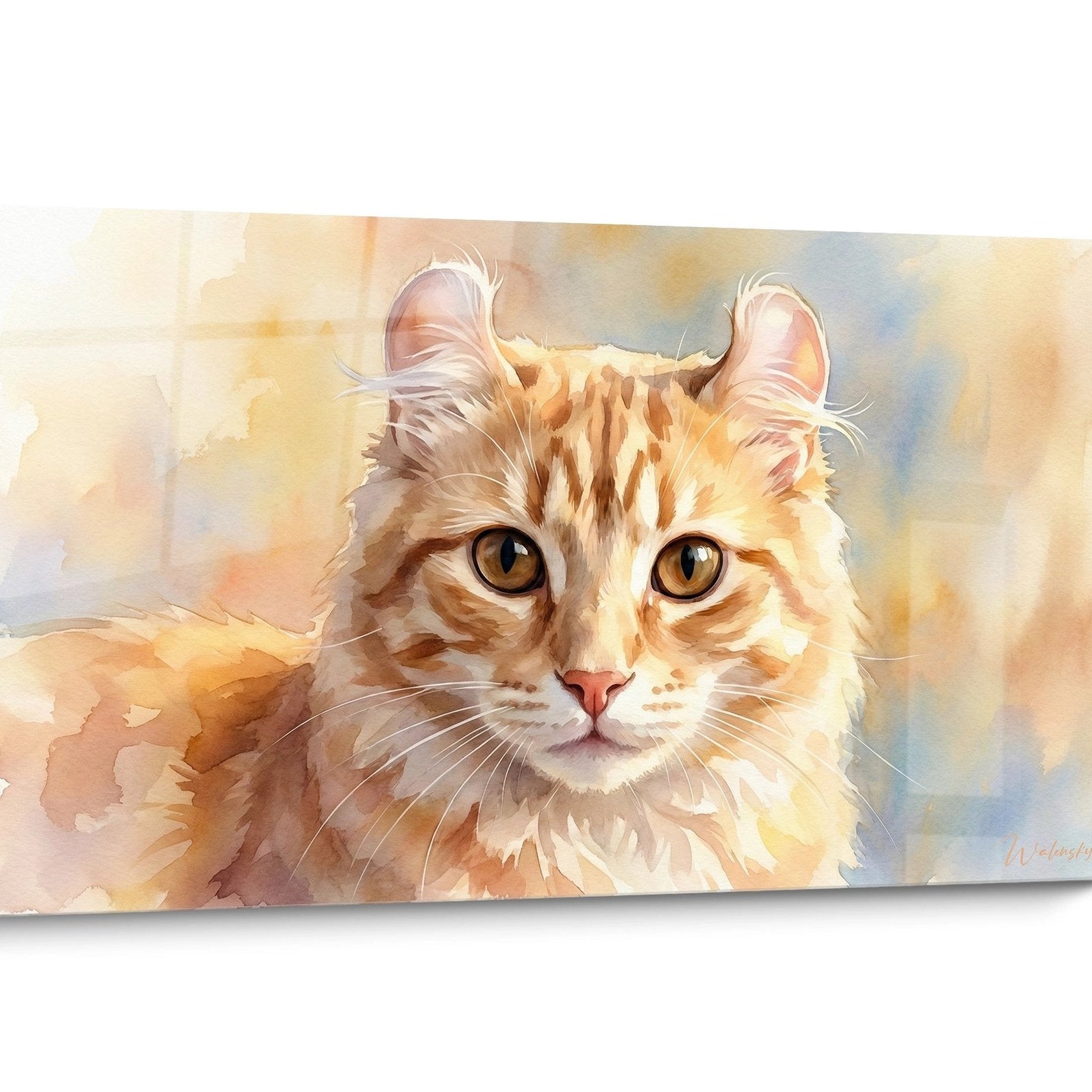 Tableau chat American Curl