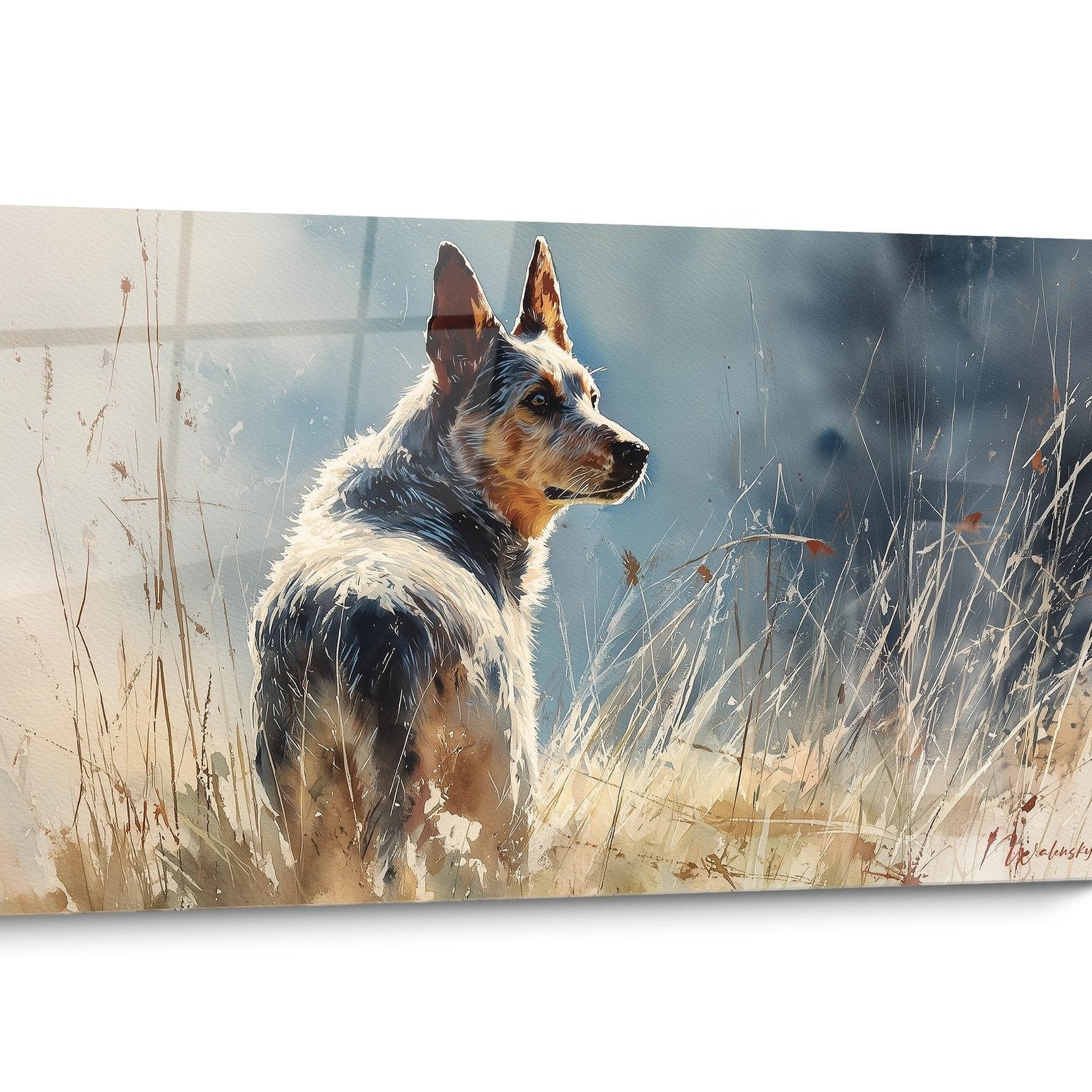 Tableau chien Australian Cattle Dog Doré