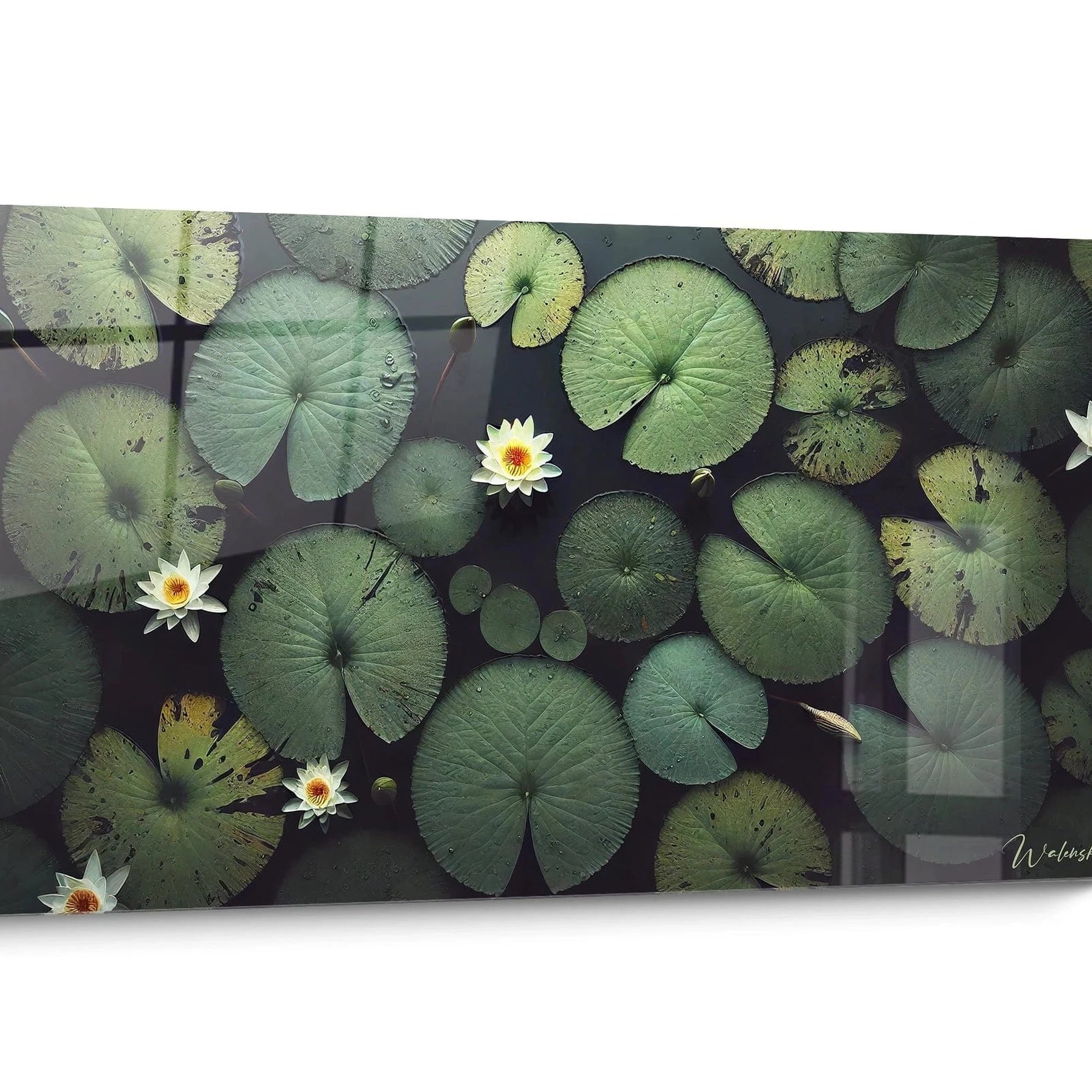 Tableaux Nénuphar