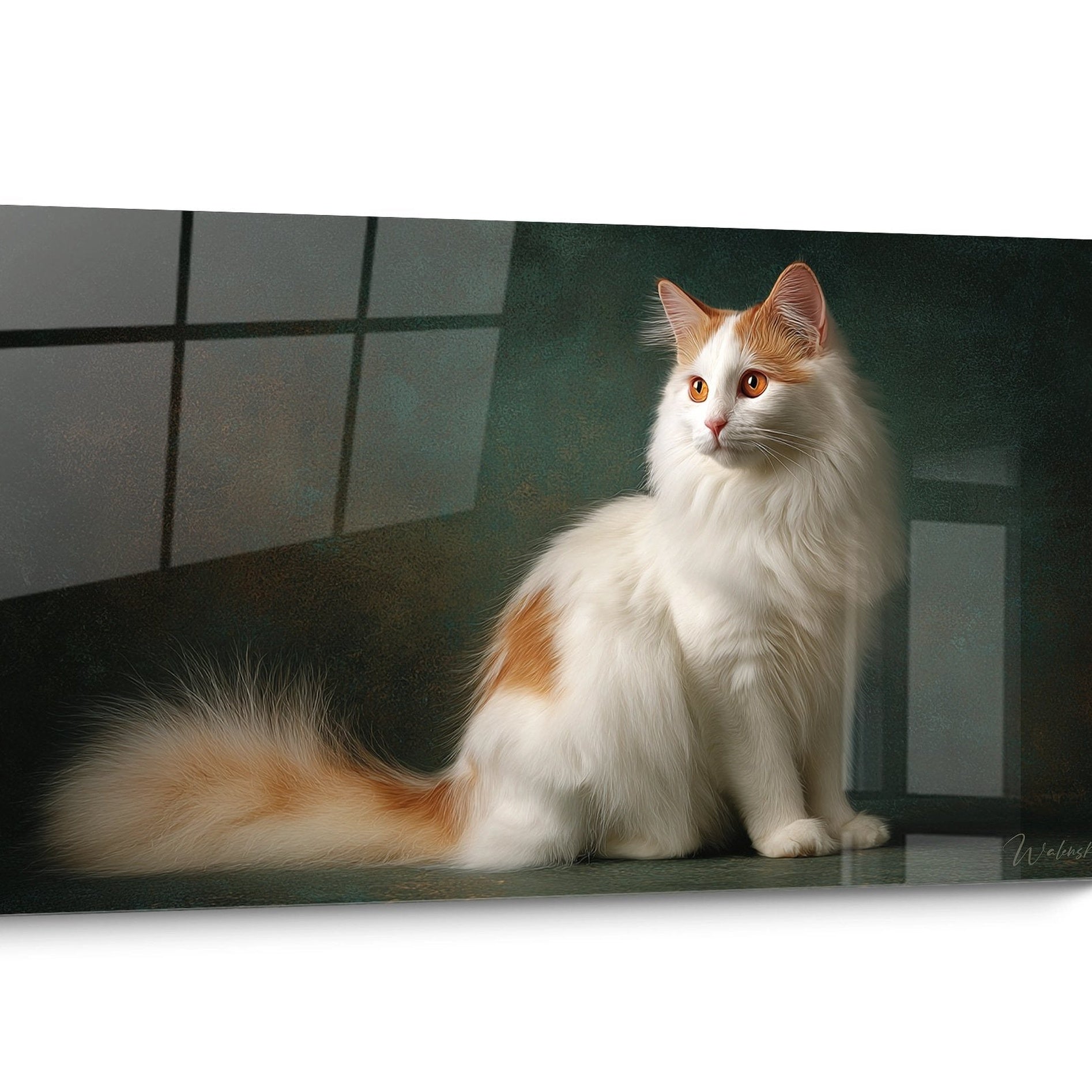 Tableau chat Turkish Van Portrait