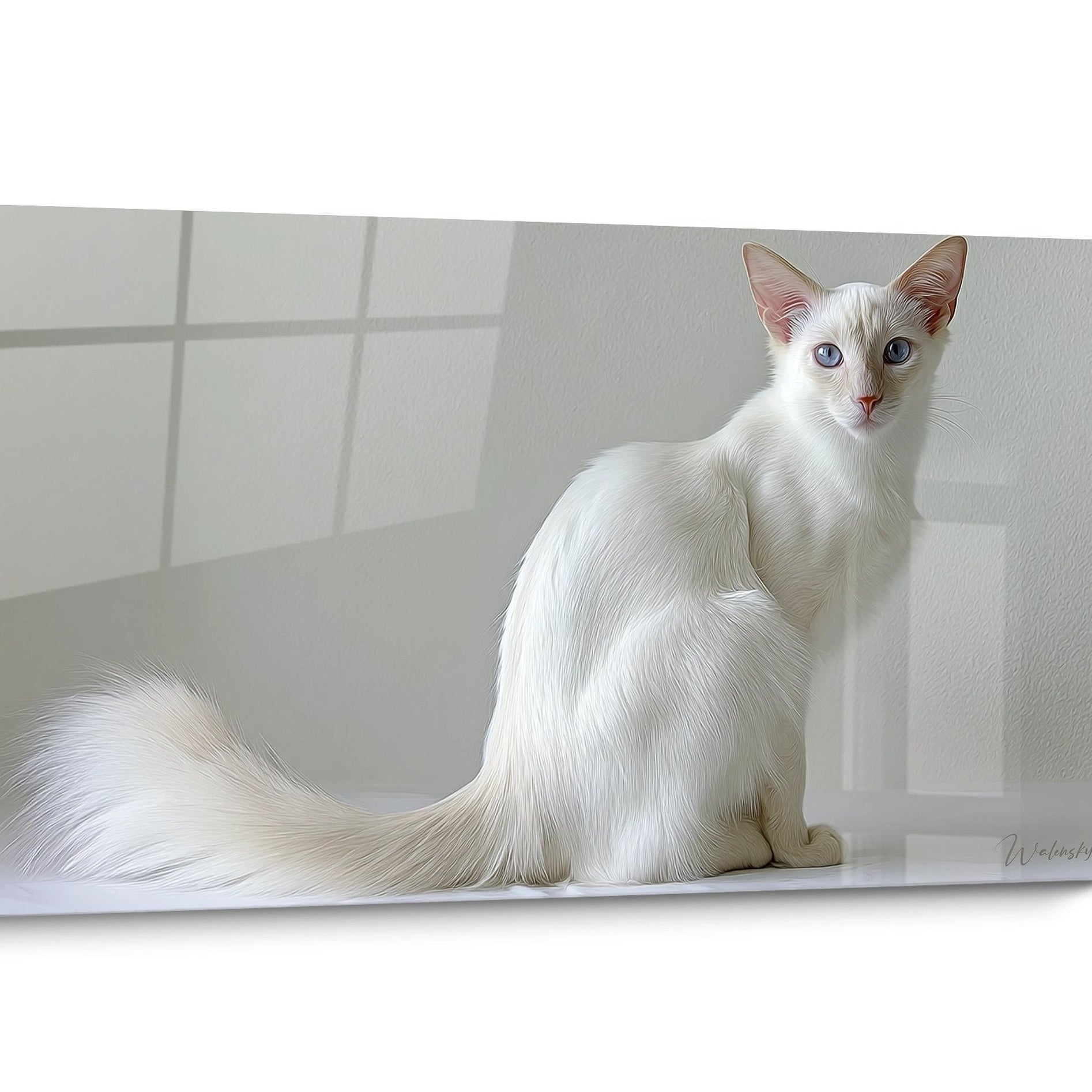 Tableau chat Balinais Blanc