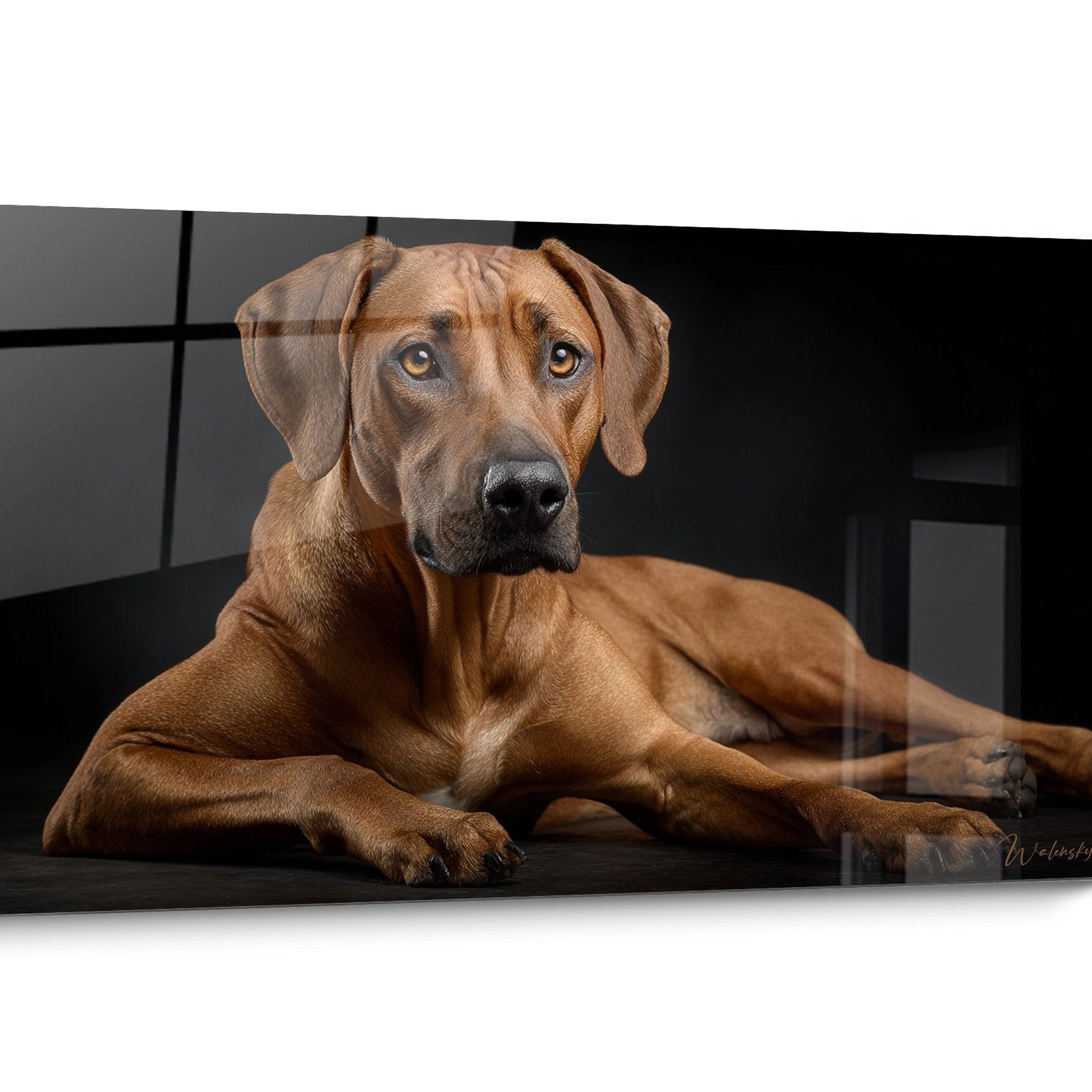 Tableau Rhodesian Ridgeback