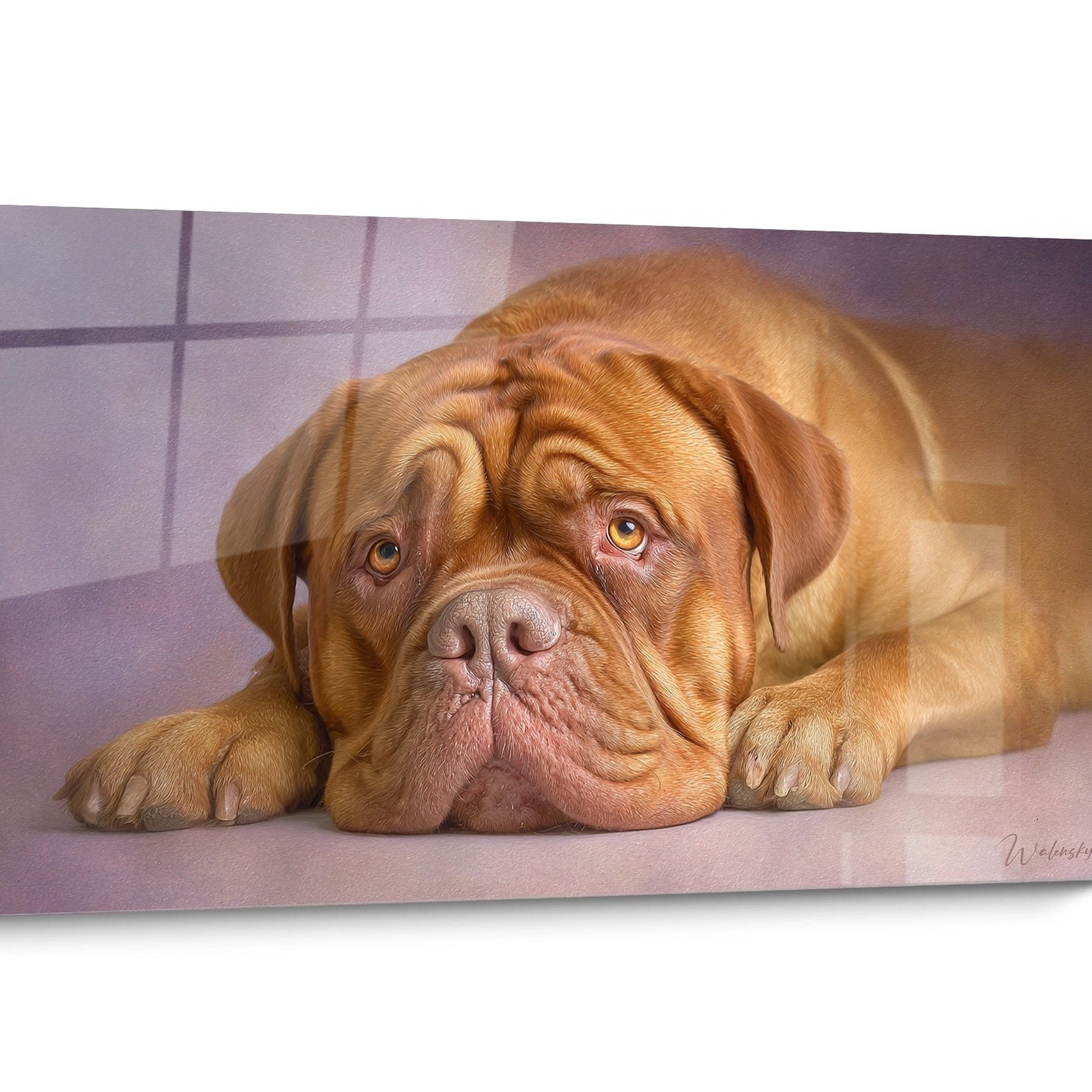 Tableau Dogue de Bordeaux Réaliste