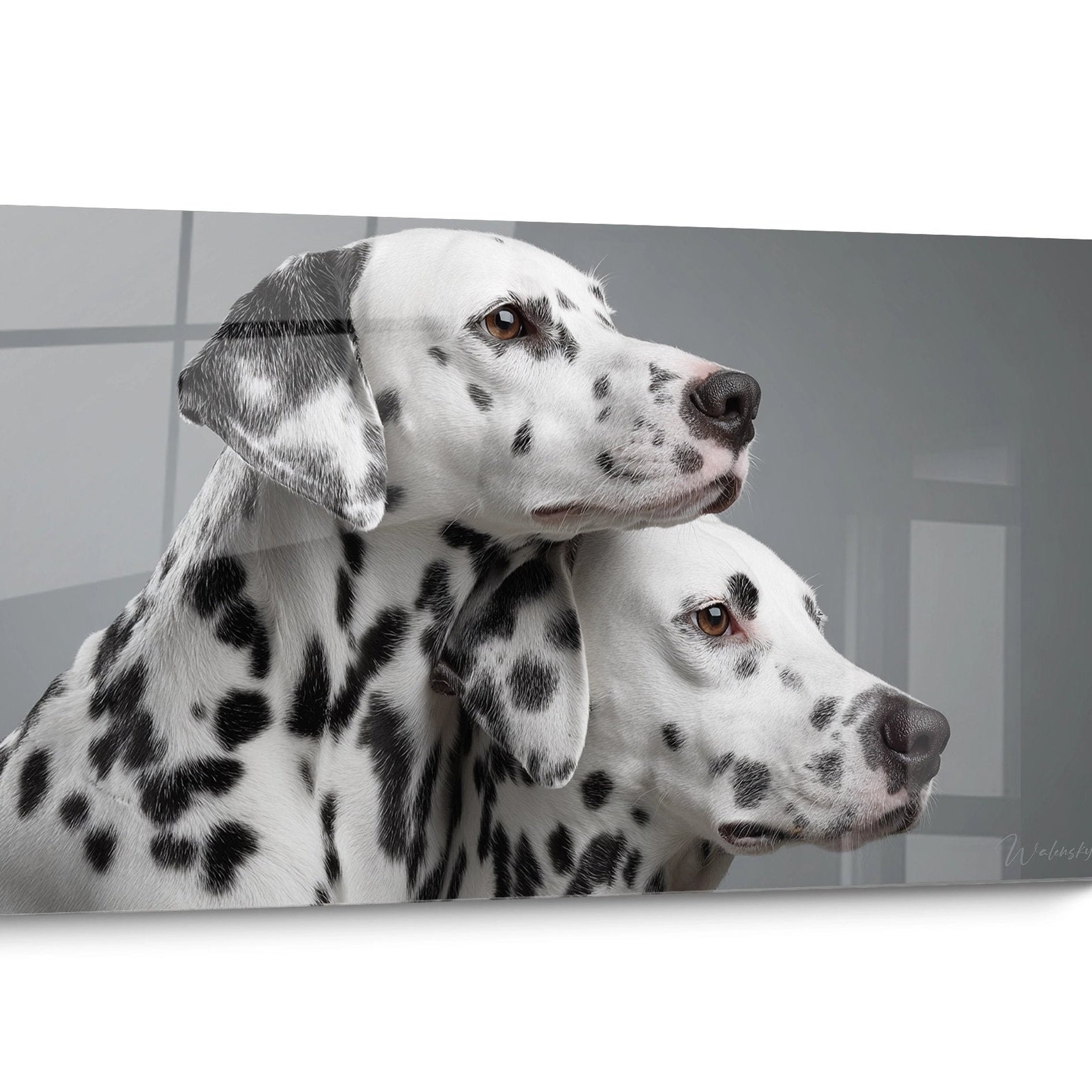 Tableau Dalmatien Noir et Blanc