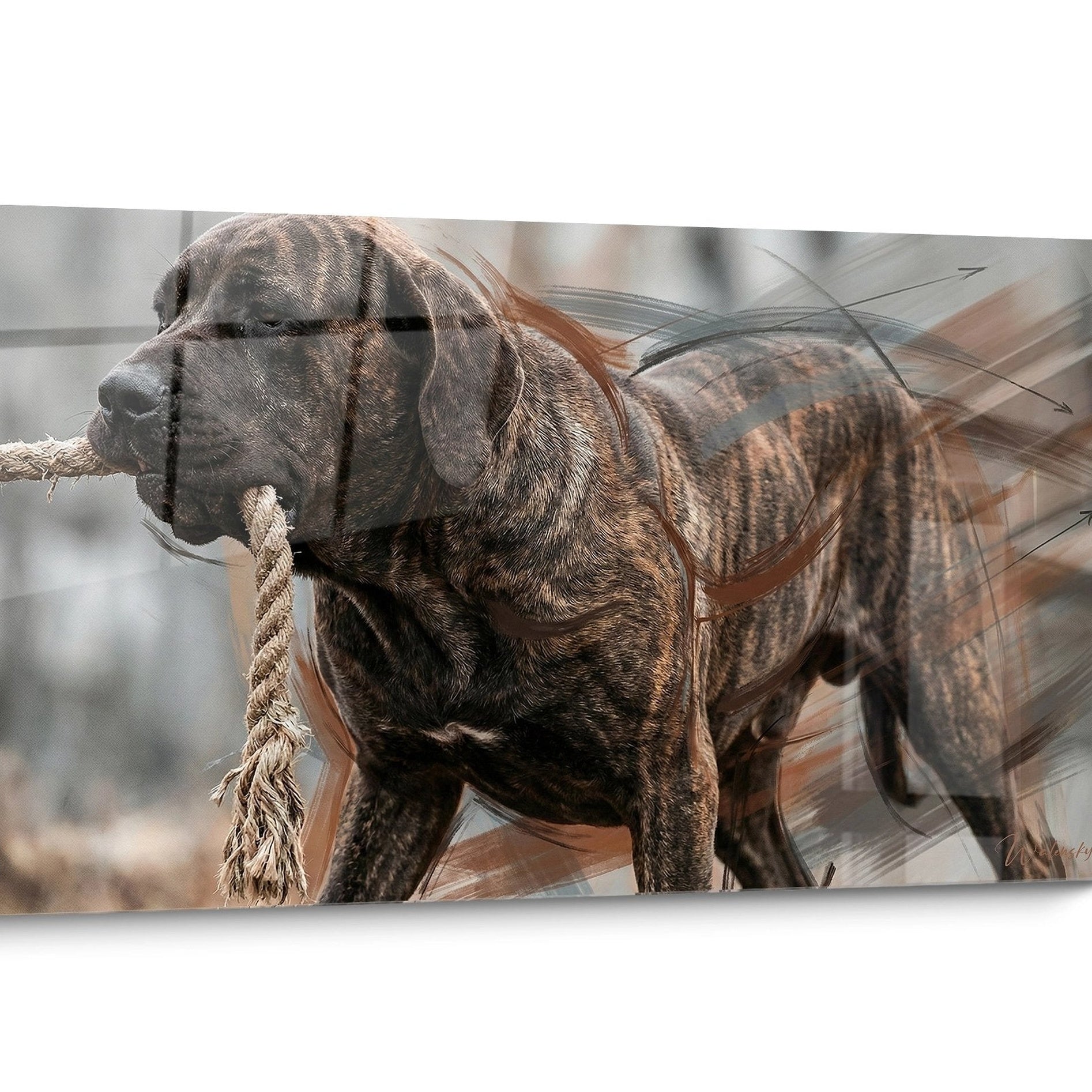 Tableau Fila Brasileiro
