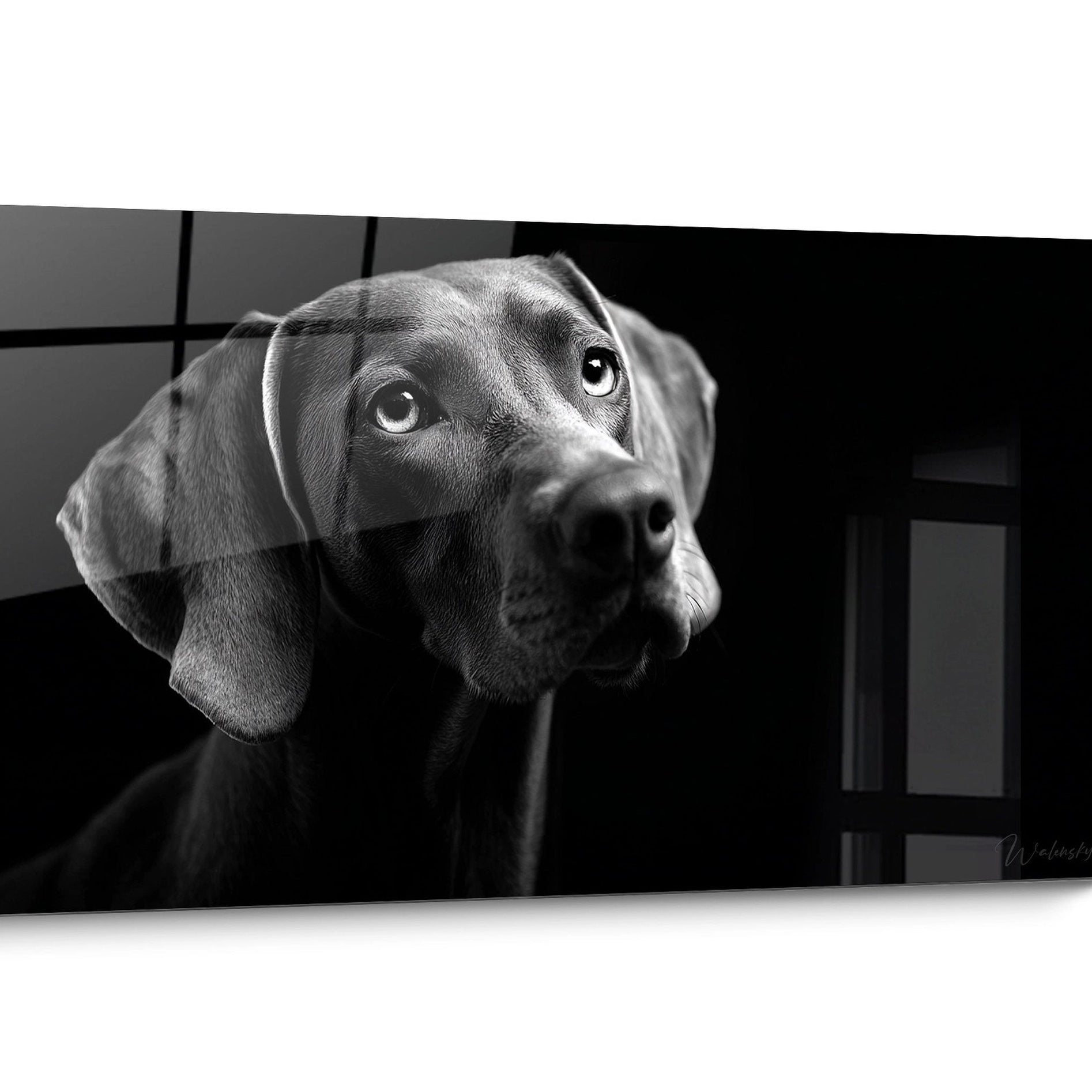 Tableau chien Weimaraner Noir et Blanc