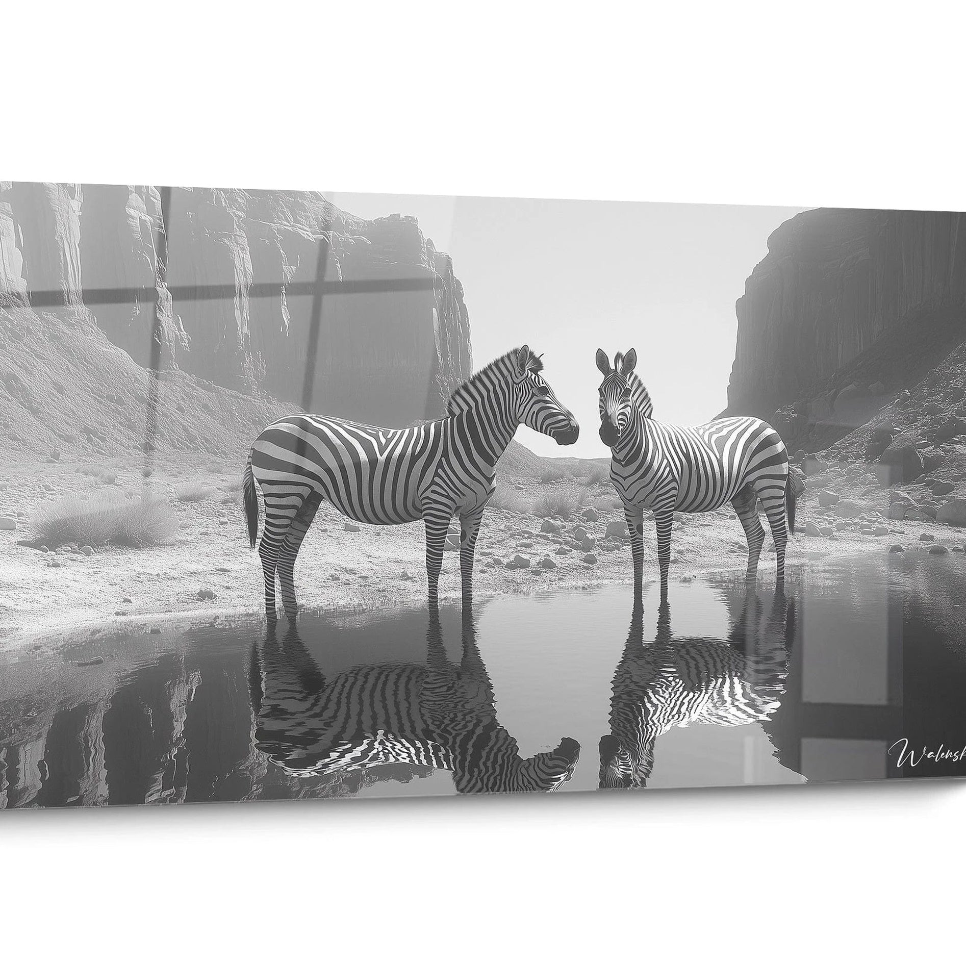 Tableau Zebre Coloré