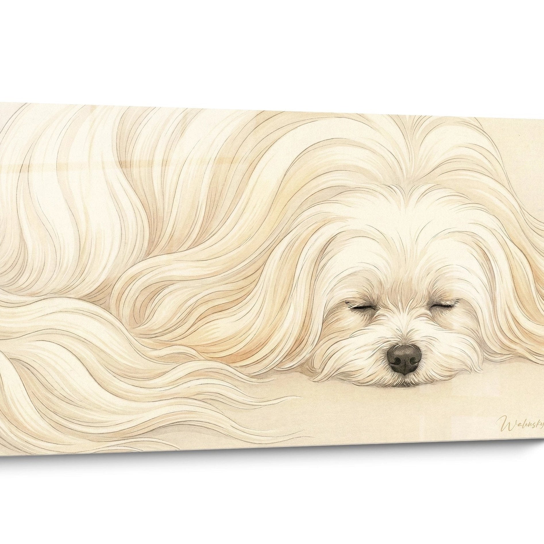 Tableau Bichon Maltais