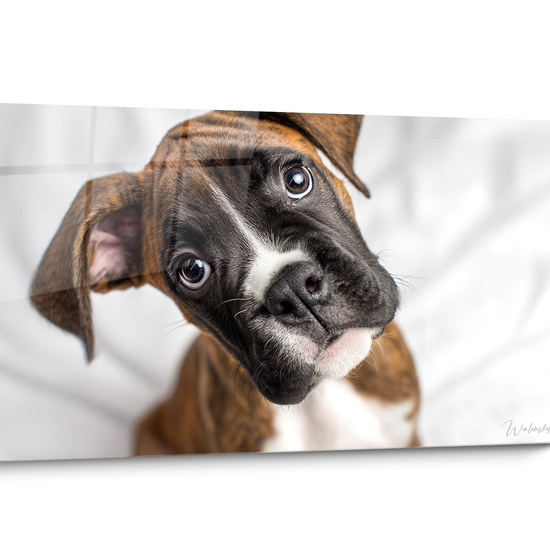 Tableau Boxer