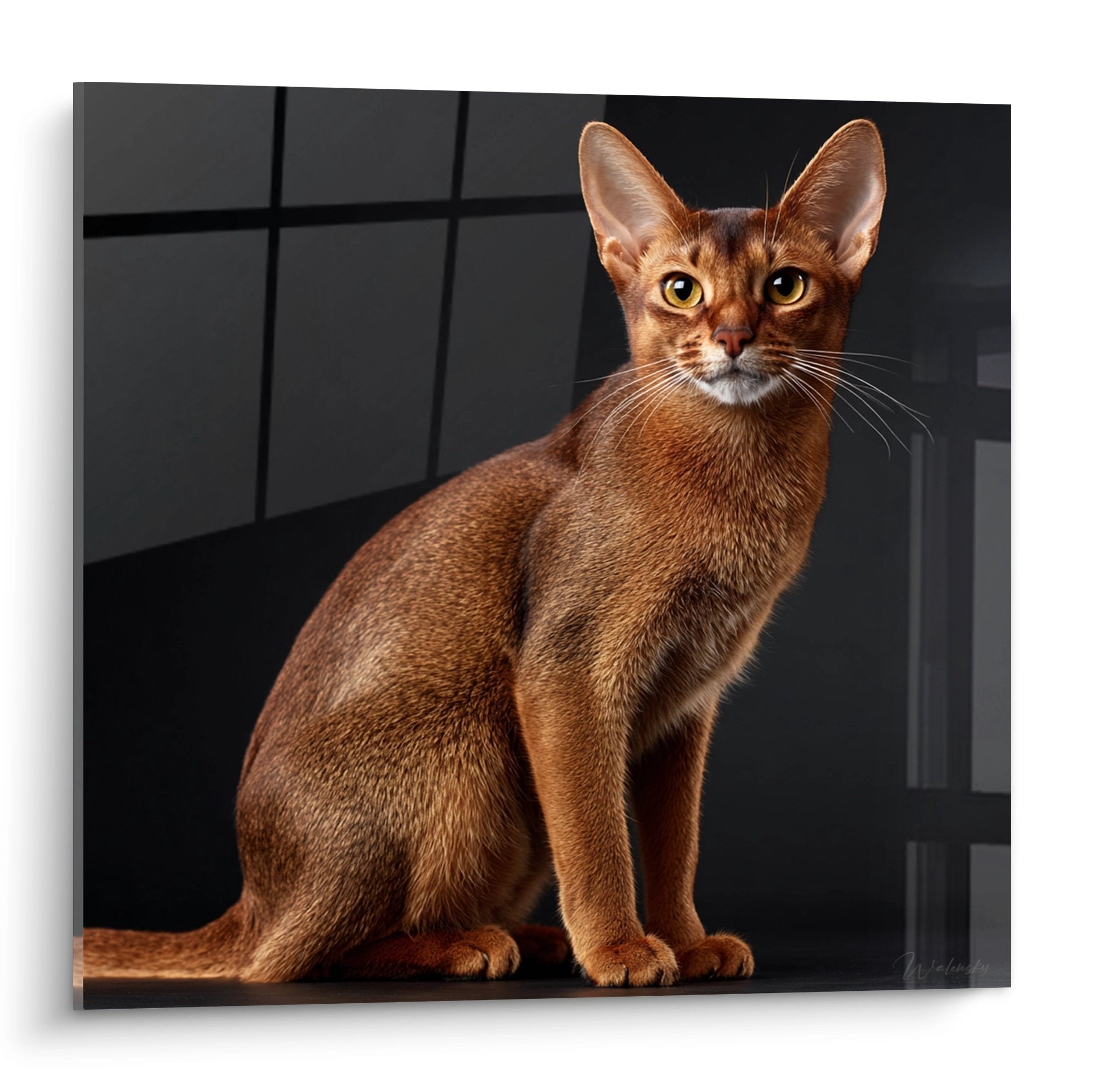 Tableau décoratif chat Abyssin roux aux yeux dorés dans décor moderne sombre, art mural félin élégant