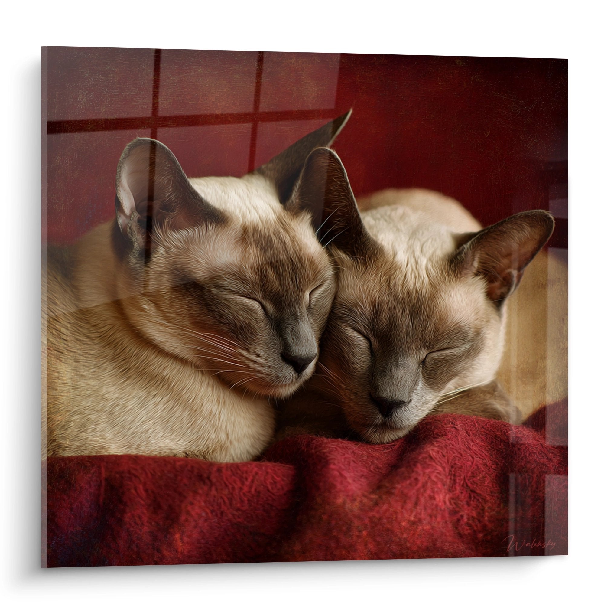 Quadro artistico di due gatti Tonkinesi abbracciati che dormono pacificamente su tessuto rosso bordeaux