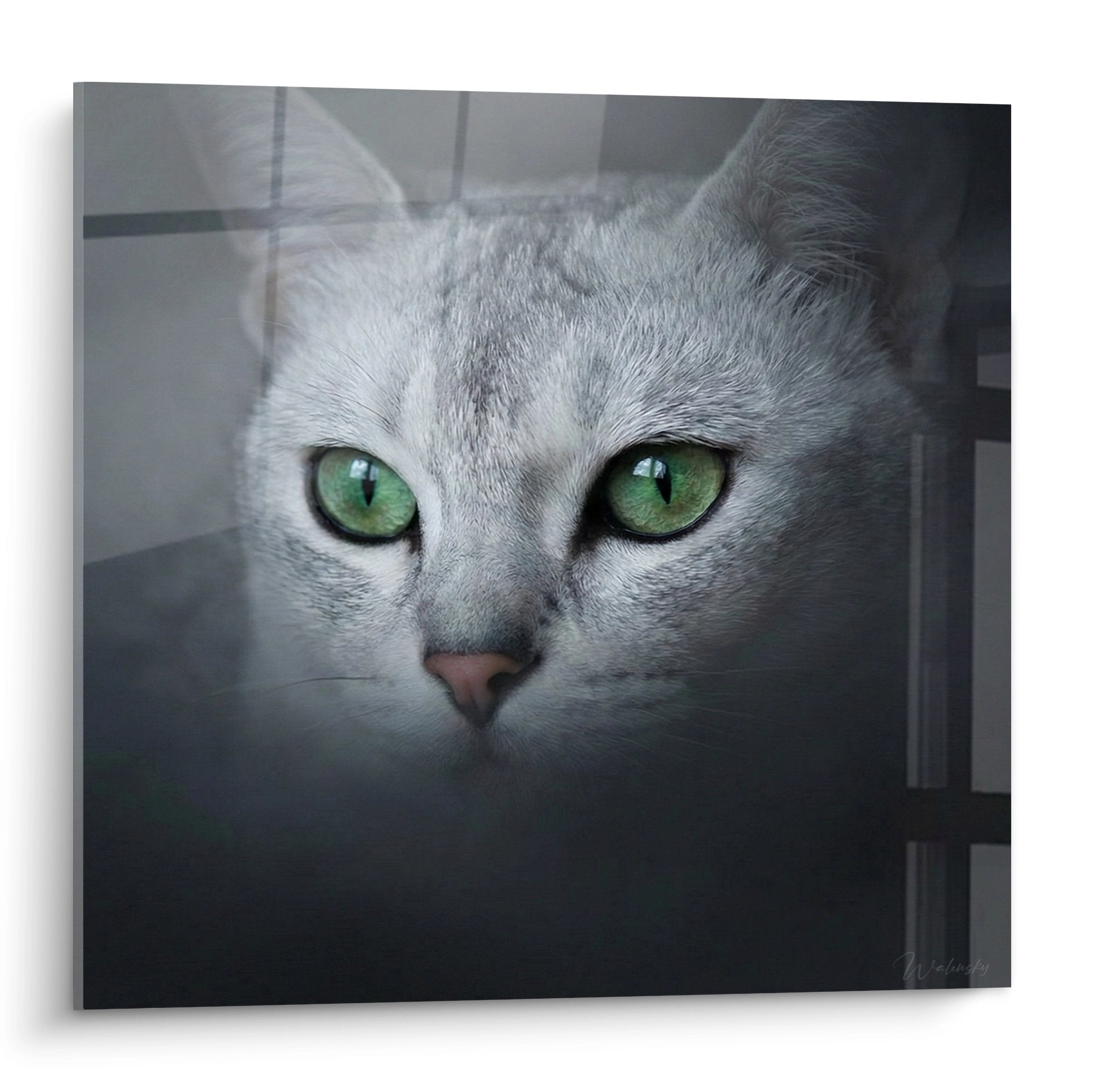 Quadro gatto Burmilla con occhi verde smeraldo, ritratto felino artistico su tela decorativa murale moderna