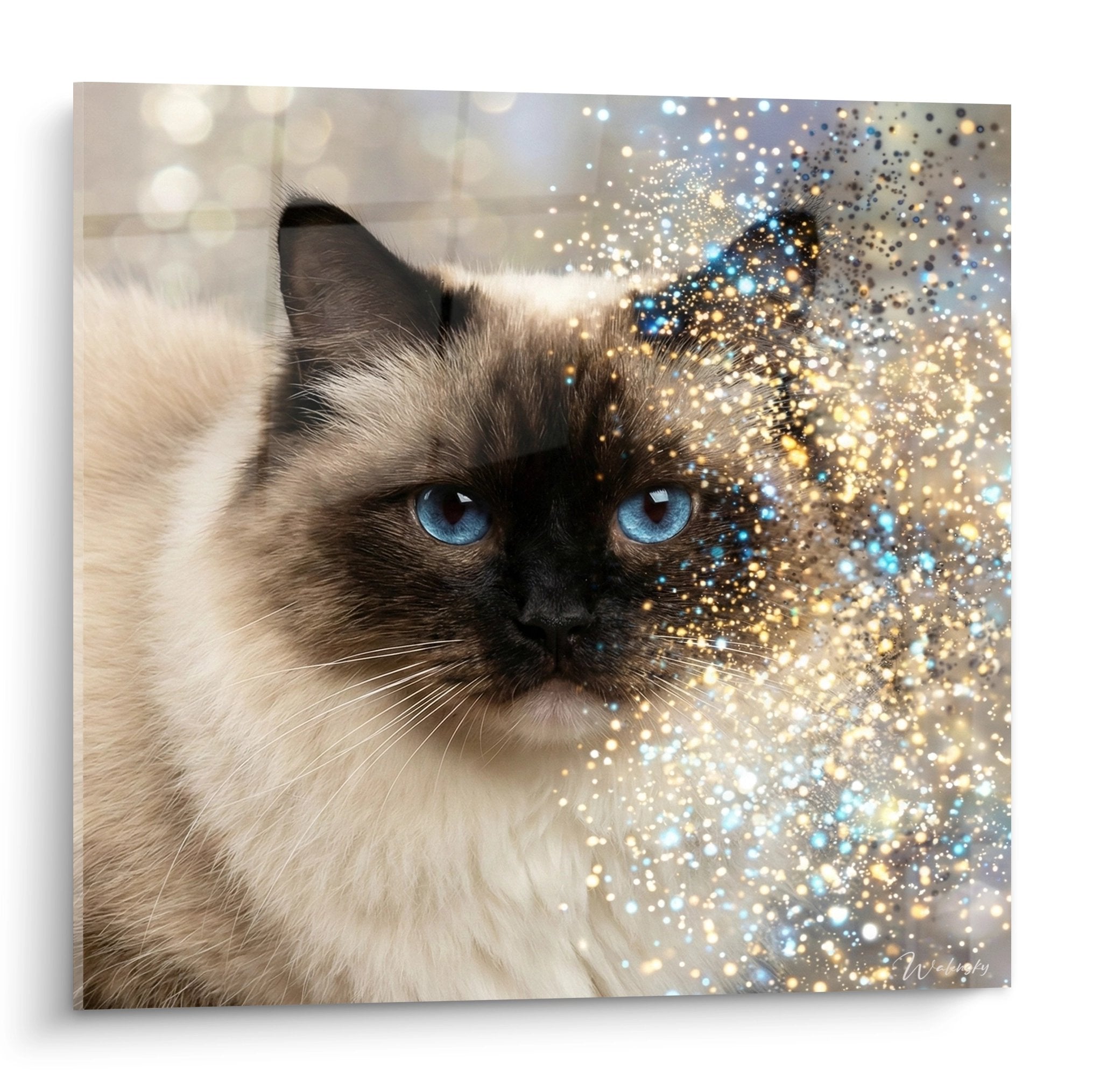 Quadro gatto Ragdoll con occhi blu e effetto glitter dorato e argentato, arte felina moderna