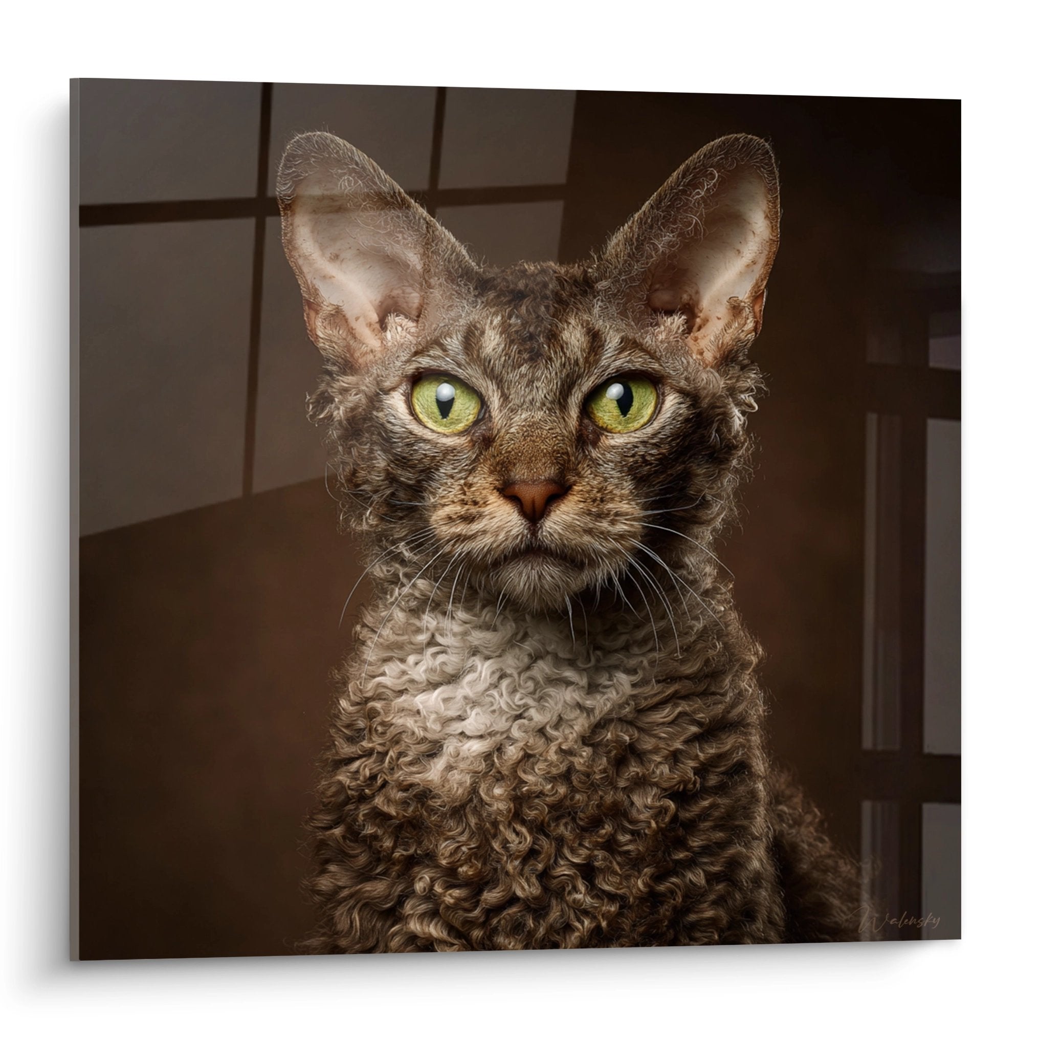 Ritratto artistico gatto LaPerm con occhi verdi e mantello riccio caratteristico su sfondo neutro