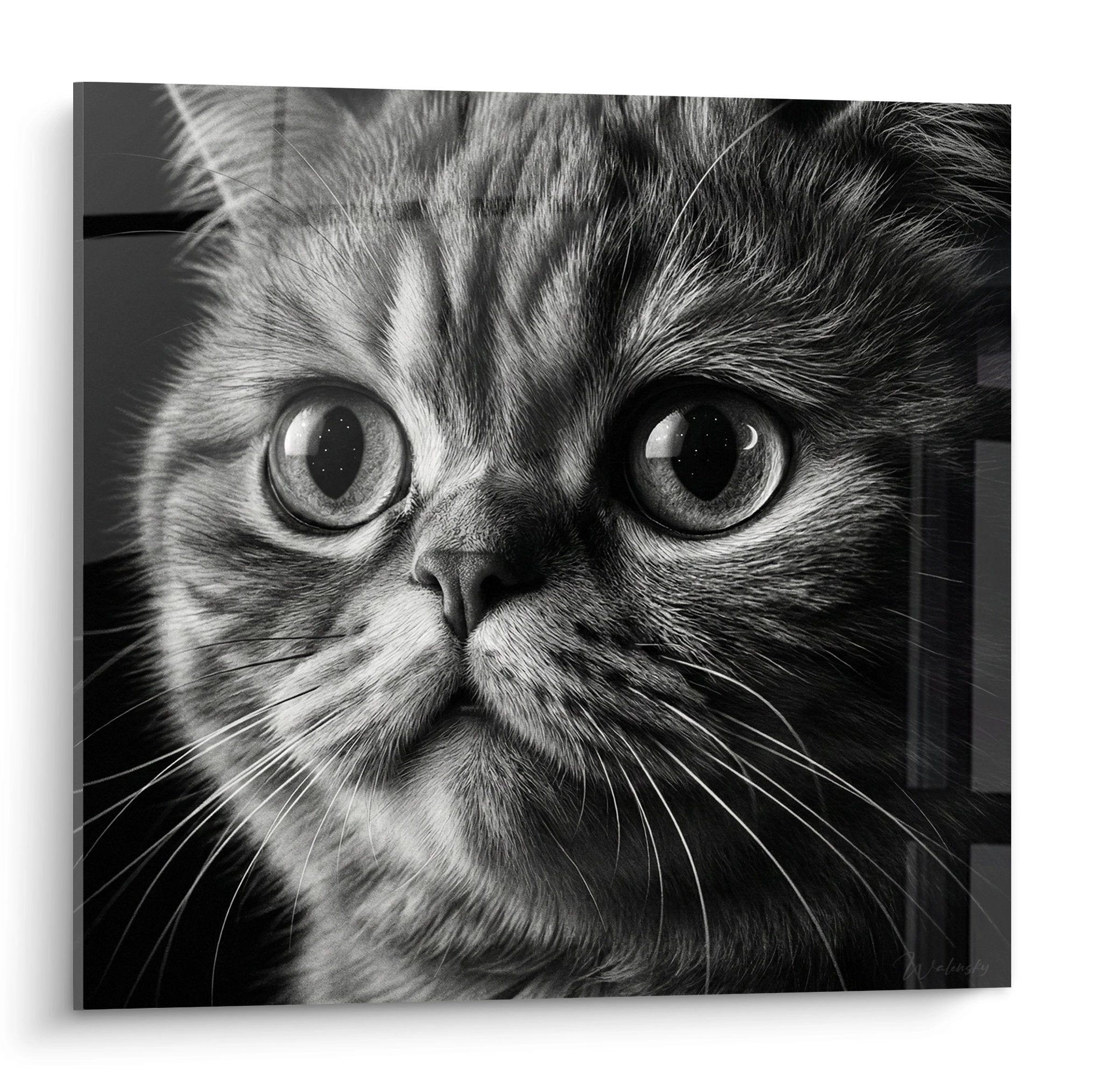 Realistic black and white portrait of an Exotic Shorthair cat with large expressive eyes on wall art