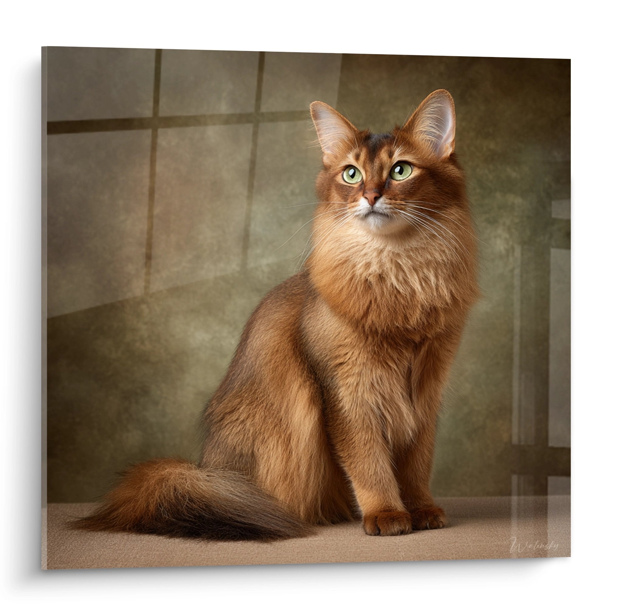 Tableau art mural représentant un chat Somali roux aux yeux verts assis élégamment sur carrelage beige